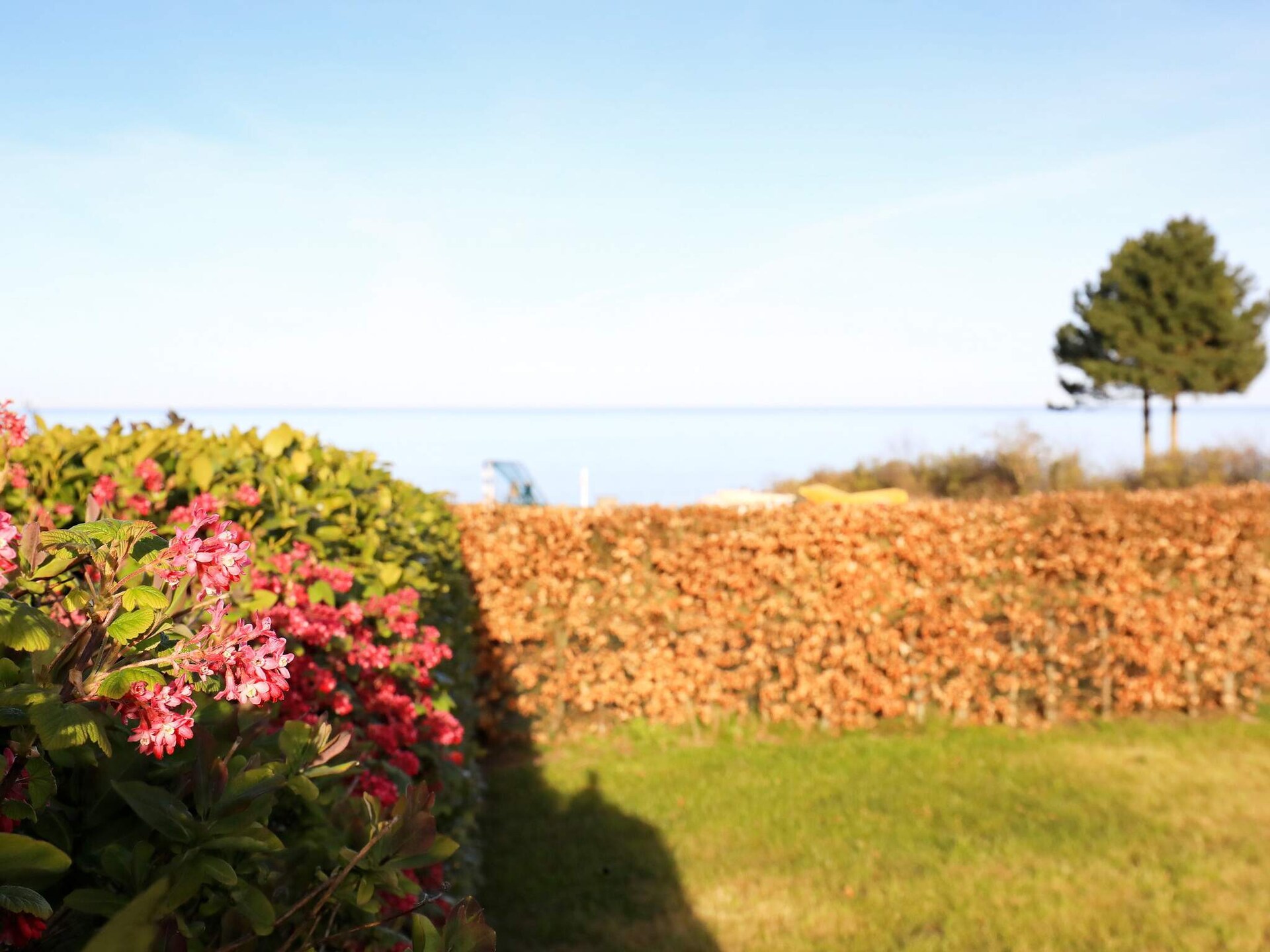 Vrijstaand vakantiehuis direct aan zee bij Frørup met panoramisch uitzicht - foto 13