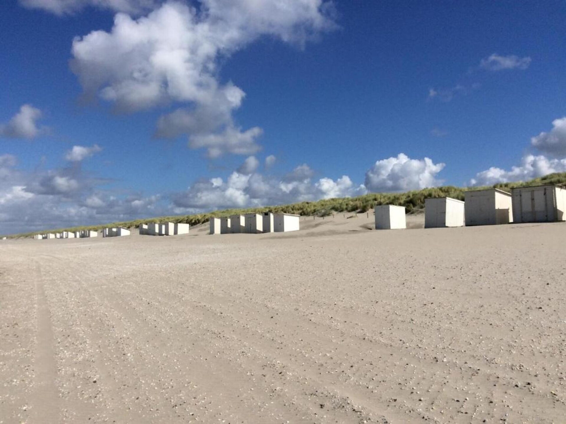 Safaritent Vlugtenburg Beach: luxe kamperen aan de Zuid-Hollandse kust - foto 33