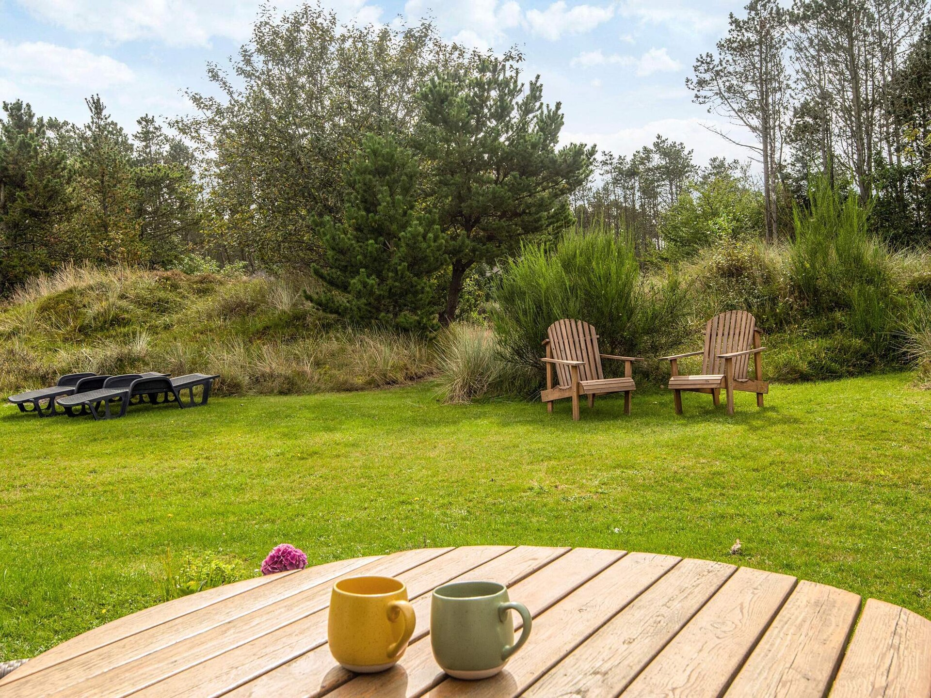 Vrijstaand vakantiehuis op groot natuurperceel bij Blåvand - foto 7