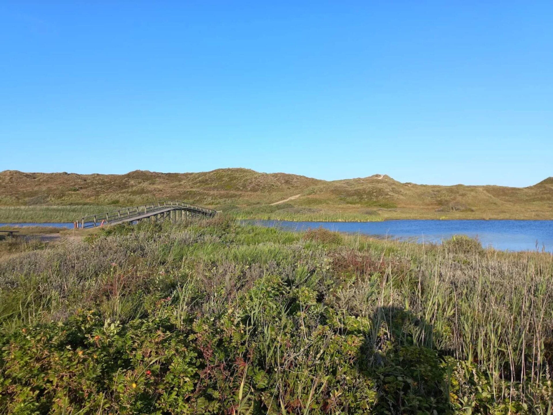 Vrijstaand vakantiehuis met hometrainer, 4 km van het strand in Nørre Nebel - foto 13