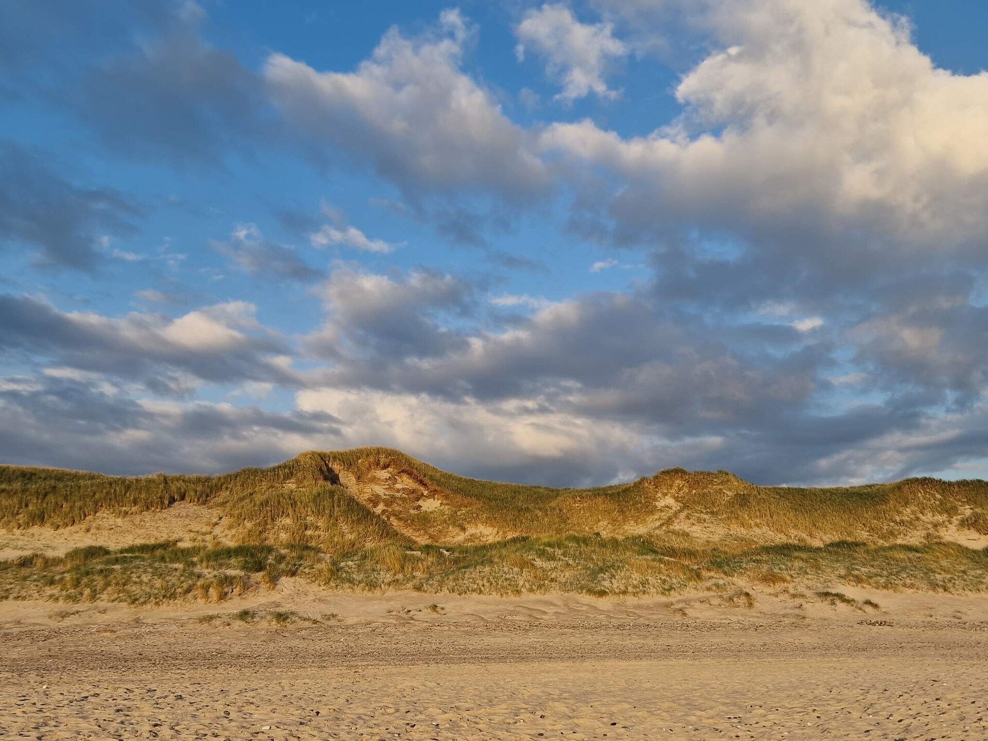 Licht vakantiehuis met sauna, uitzicht op de Ringkøbing Fjord en op 600m van zee - foto 5