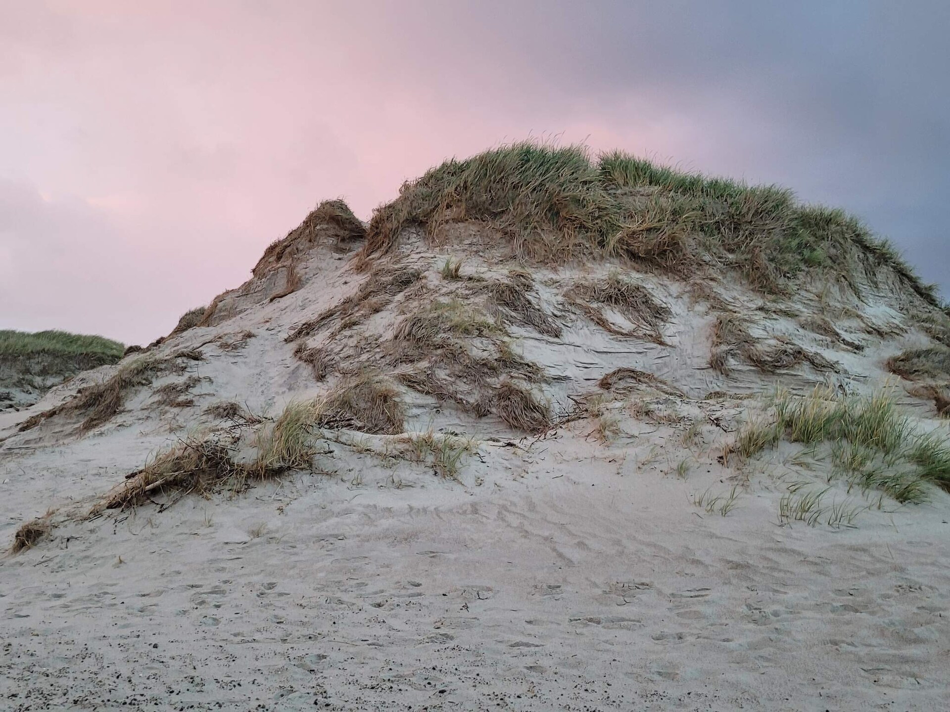 Licht vakantiehuis met sauna, uitzicht op de Ringkøbing Fjord en op 600m van zee - foto 6