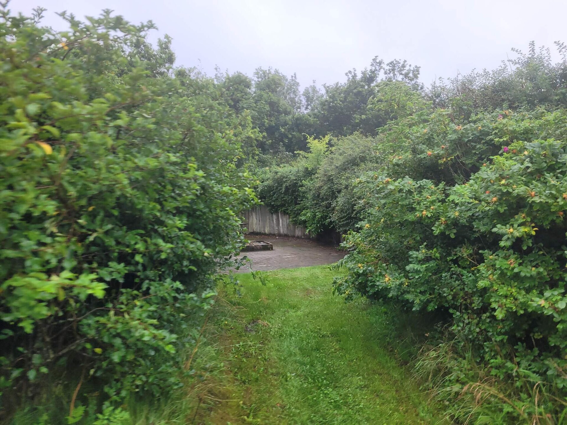 Ruim vakantiehuis op 100 meter van Ringkøbing Fjord bij Skaven Strand - foto 2