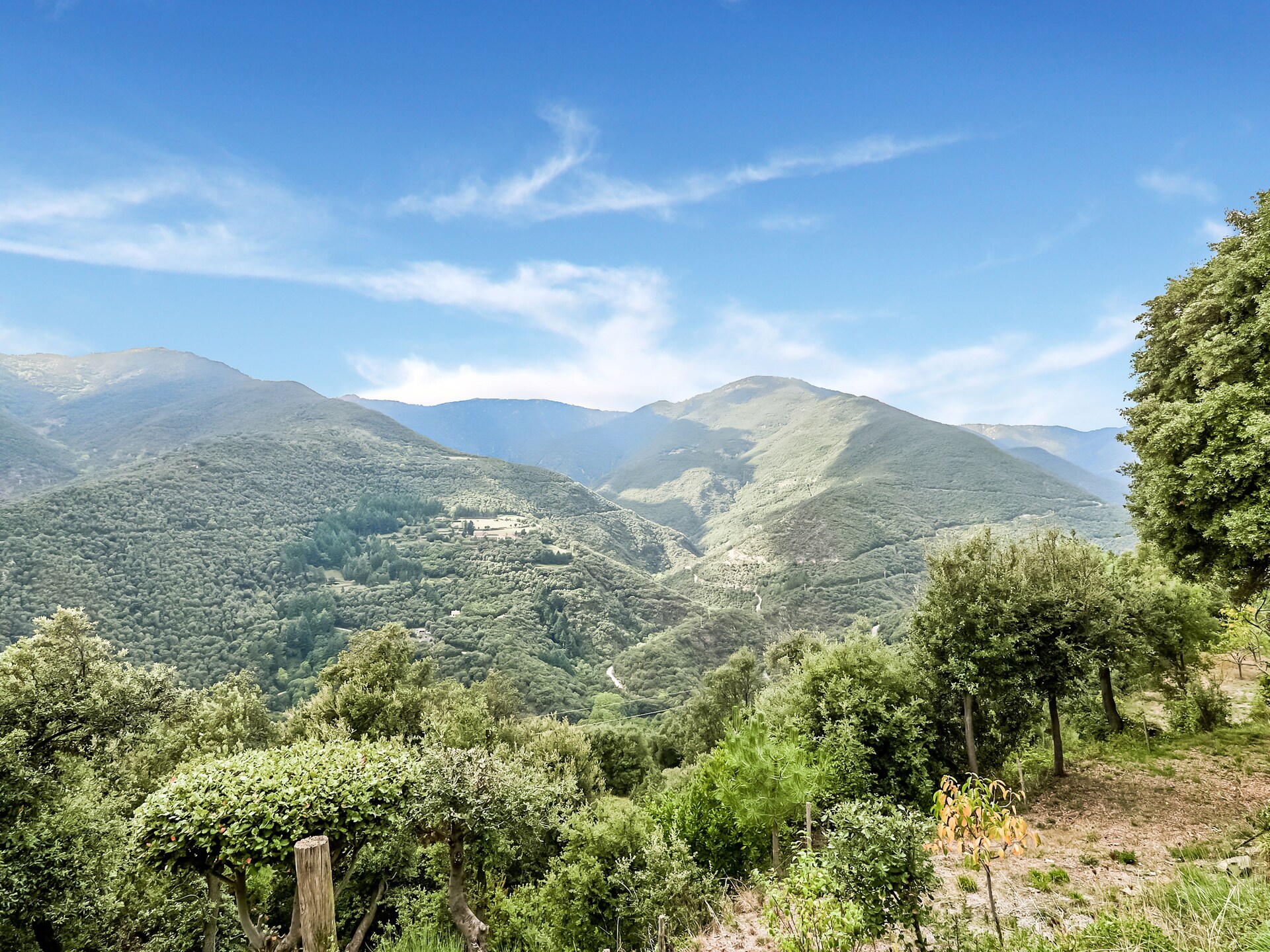 Vrijstaande vakantievilla met privézwembad in Nationaal Park Montseny - foto 37