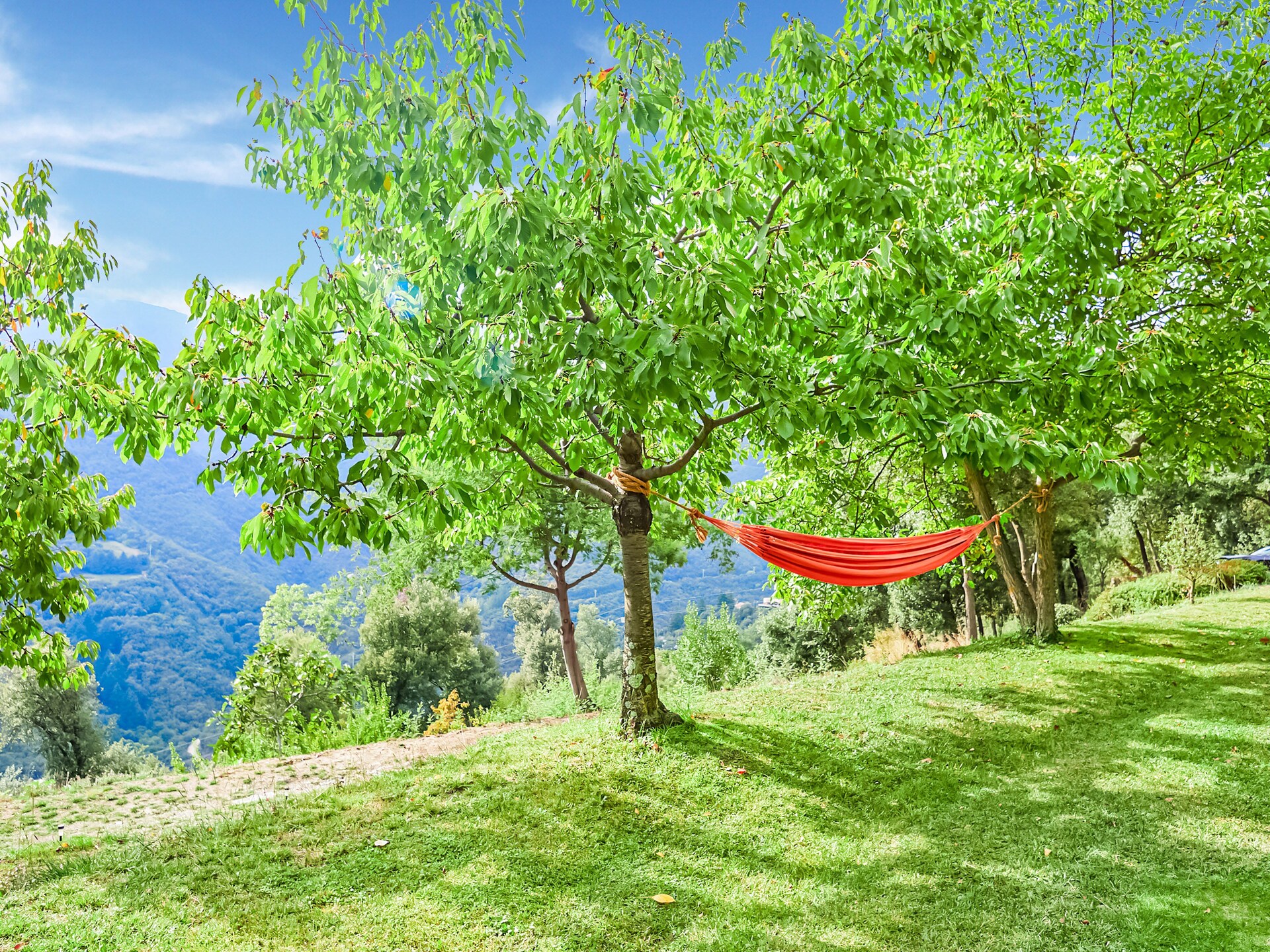 Vrijstaande vakantievilla met privézwembad in Nationaal Park Montseny - foto 36