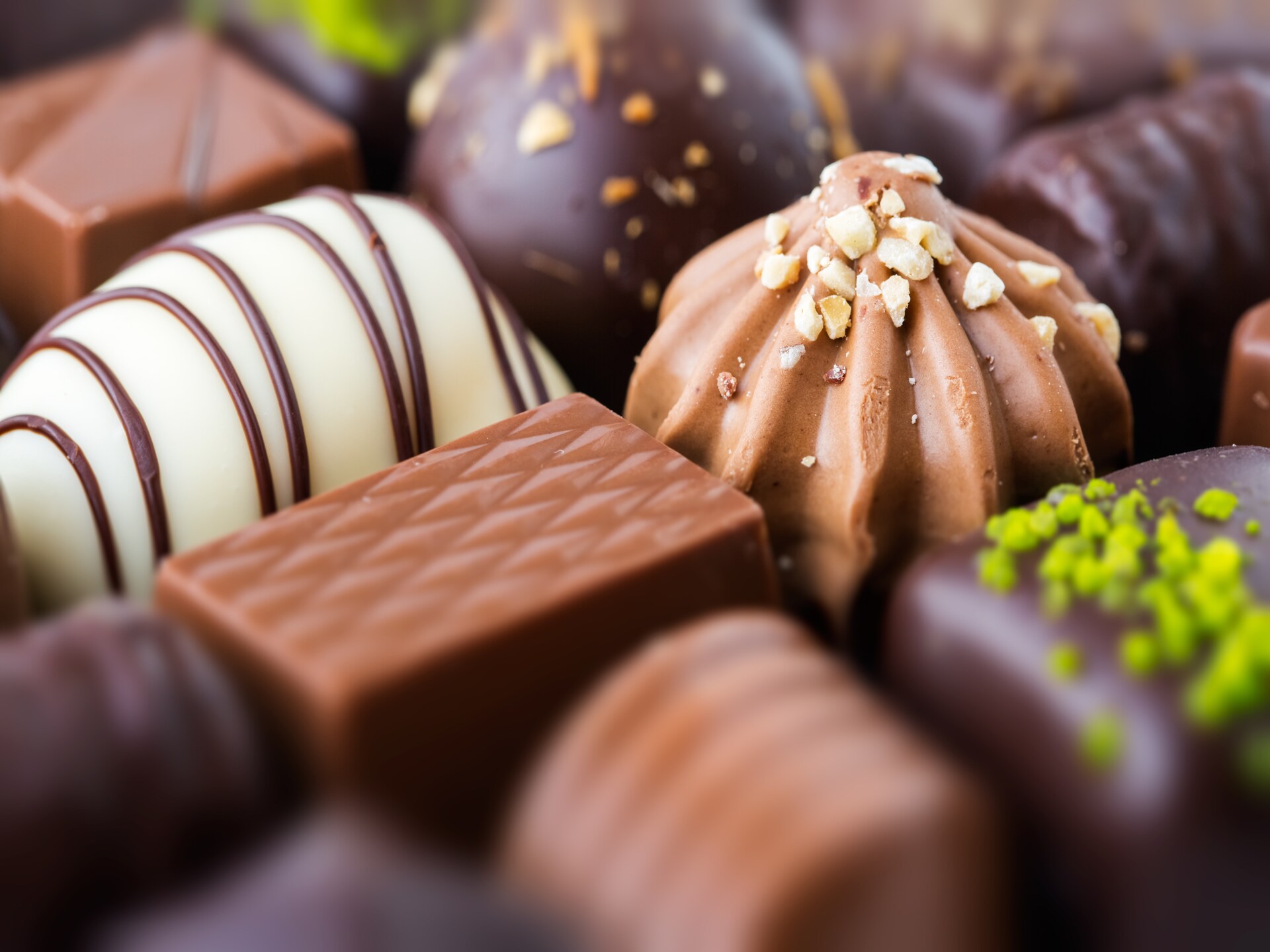Luxe villa aan zee in Nieuwvliet-Bad met hond - foto 31