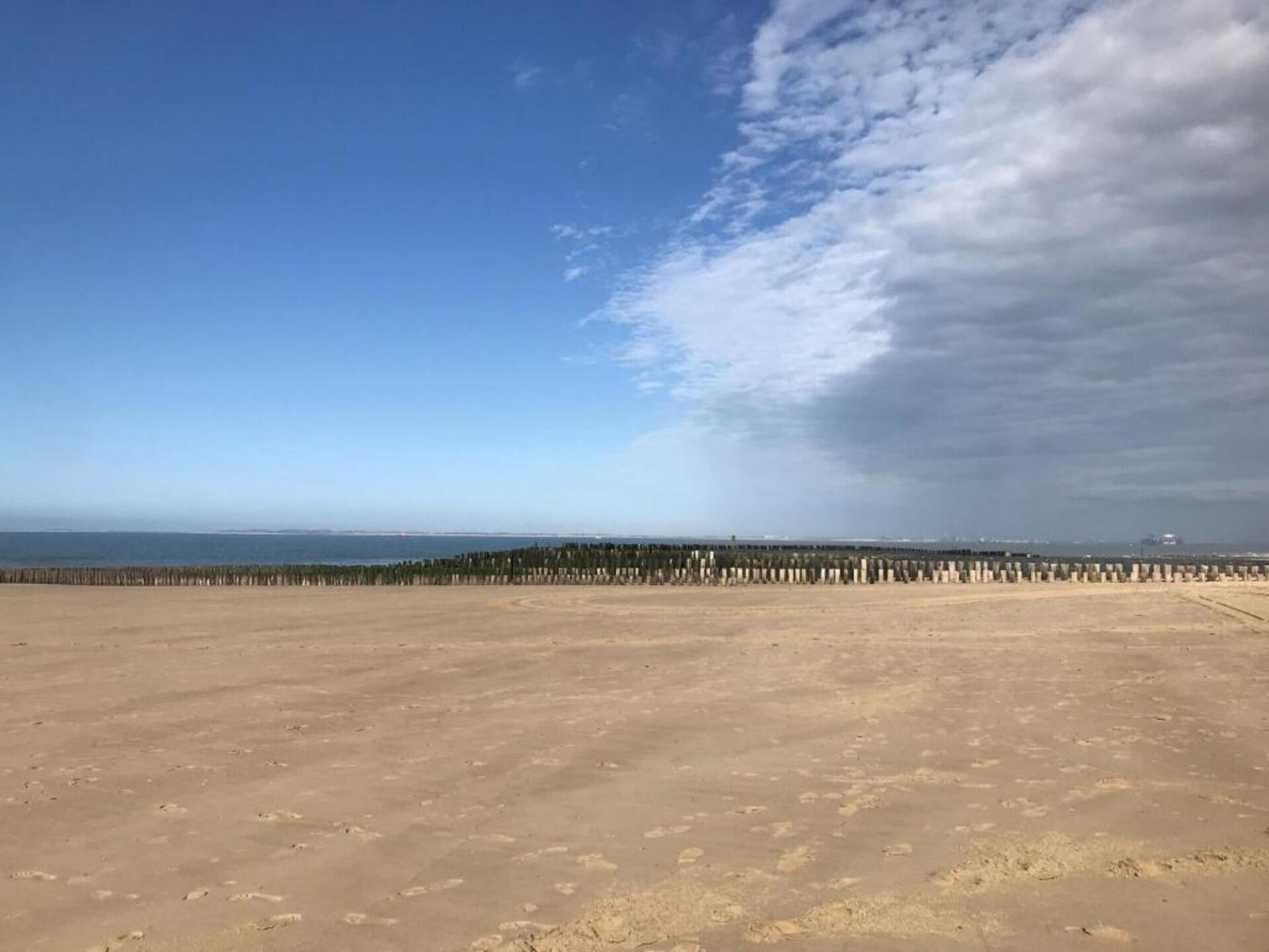 Luxe villa aan zee in Nieuwvliet-Bad met hond - foto 38