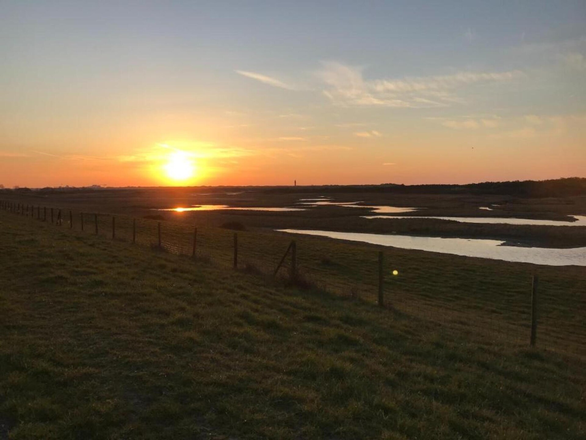 Luxe villa aan zee in Nieuwvliet-Bad met hond - foto 39