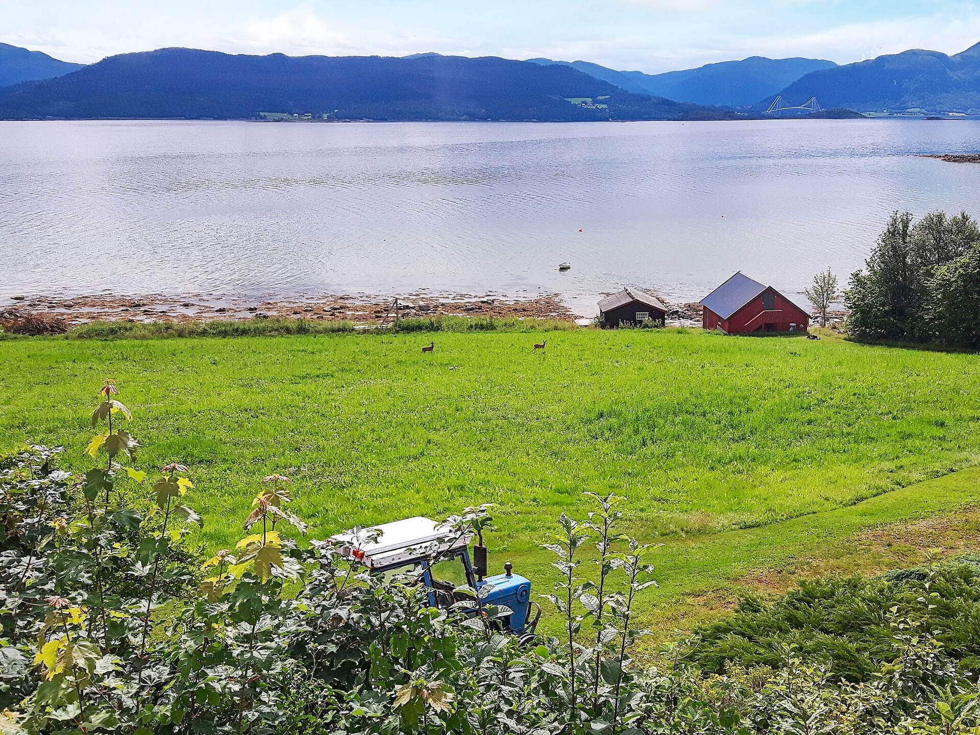 FREDHEIM 04417: Modern vakantiehuis met fjorduitzicht, 100m van zee - foto 11