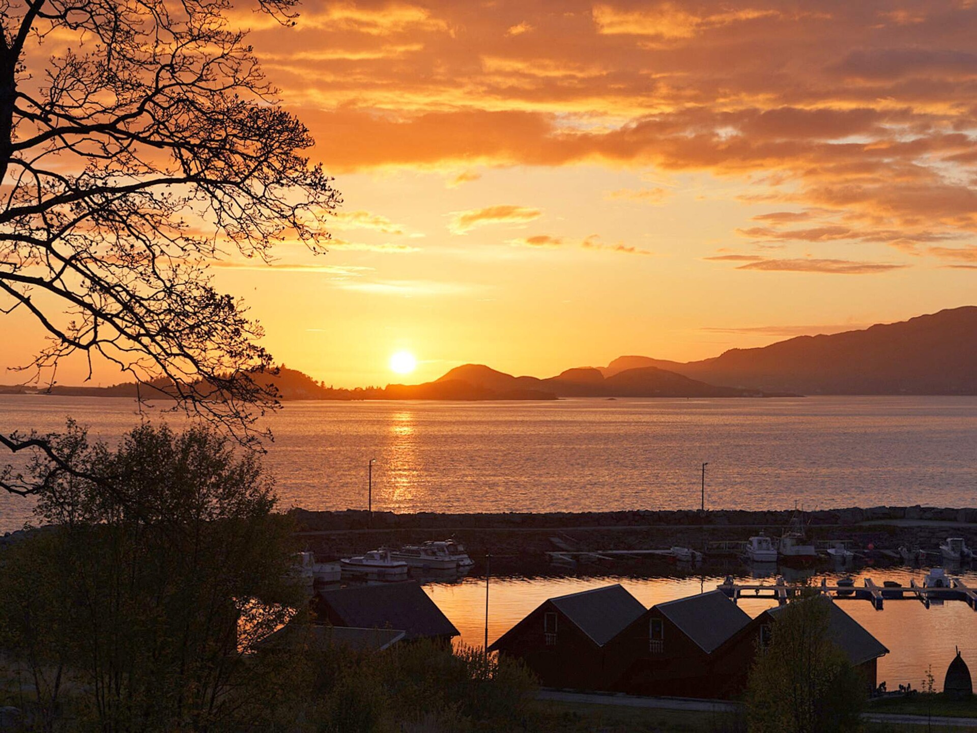 Rustiek vakantiehuis Åram: strand, fjord en alpaca's op 80 meter van zee - foto 35