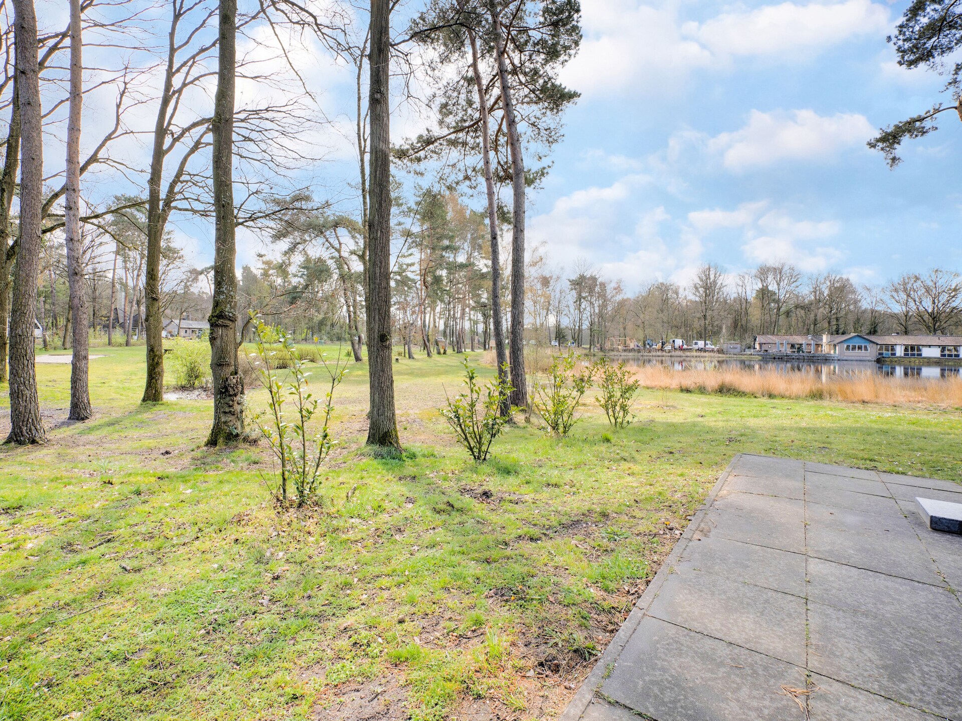 Vrijstaand boshuis in Stramproy voor 12 personen met eigen tuin - foto 25