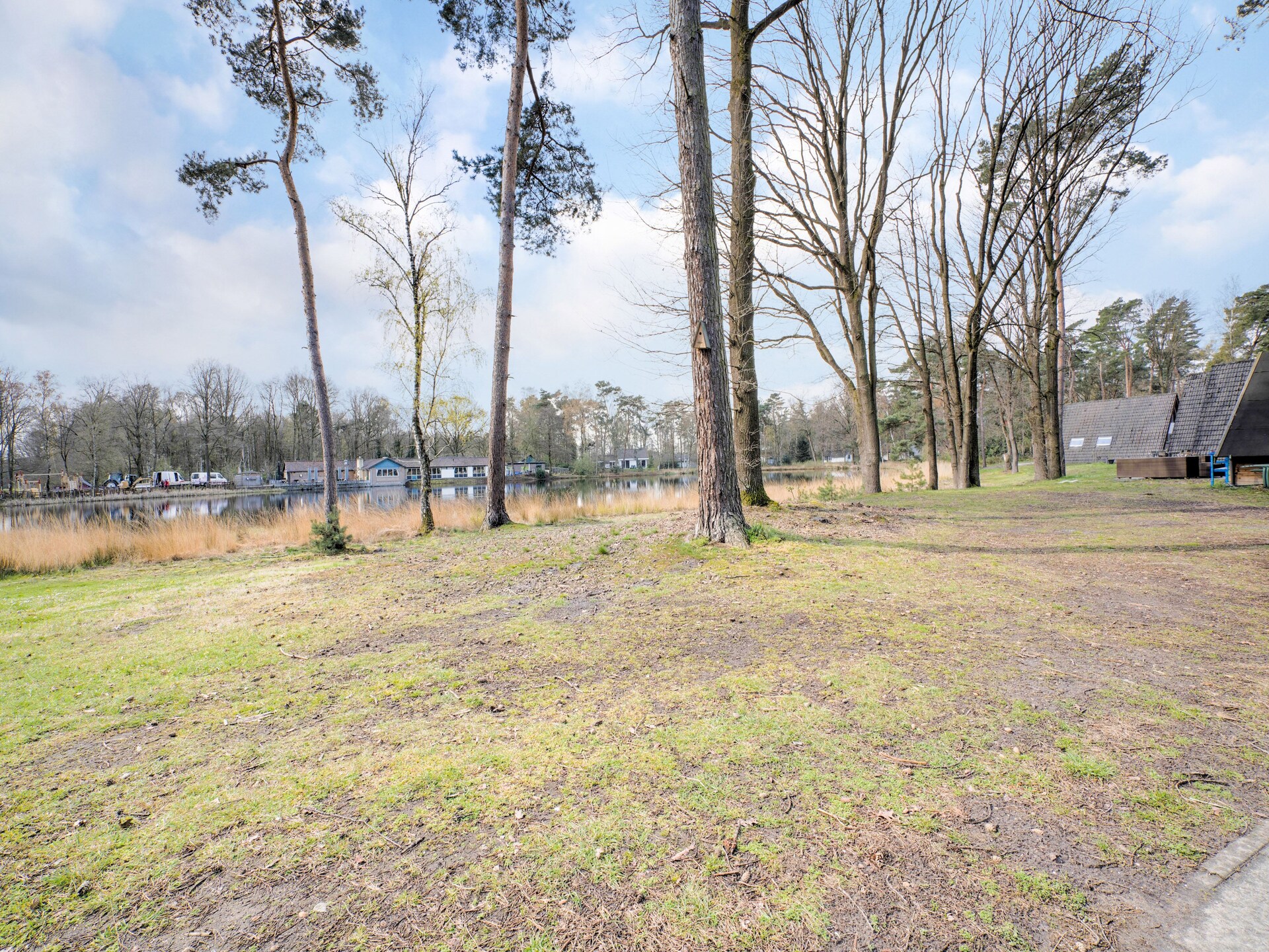 Vrijstaand boshuis in Stramproy voor 12 personen met eigen tuin - foto 28