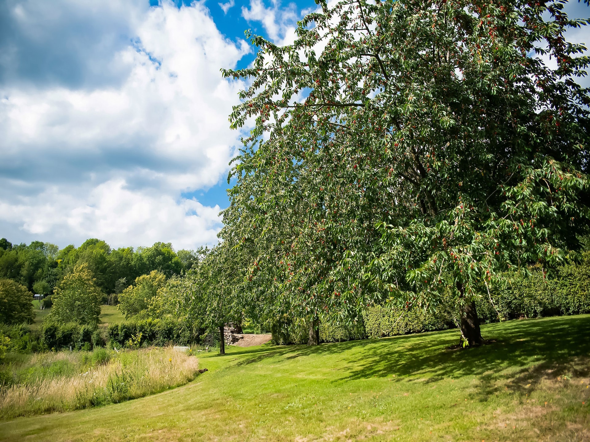 Wellness vakantiehuis Puits Saint-Jean in Aubel Ardennes - foto 33