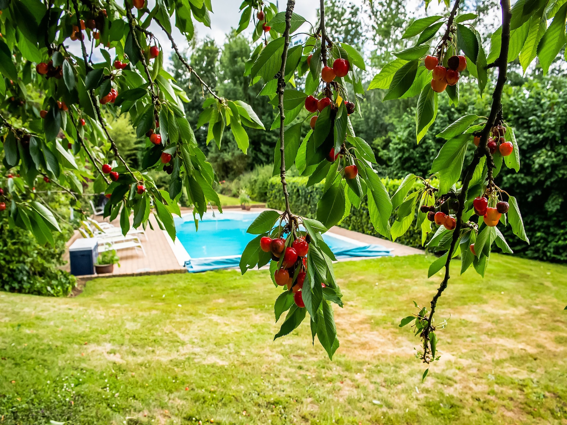 Wellness vakantiehuis Puits Saint-Jean in Aubel Ardennes - foto 40