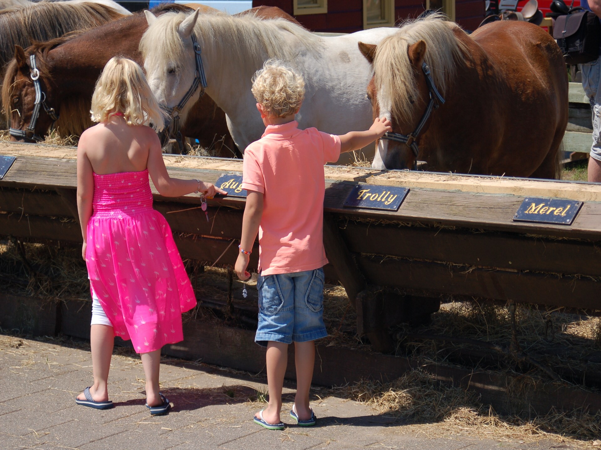 Vrijstaand vakantiehuis met tuin op Kustpark Texel, 6 pers. - foto 34