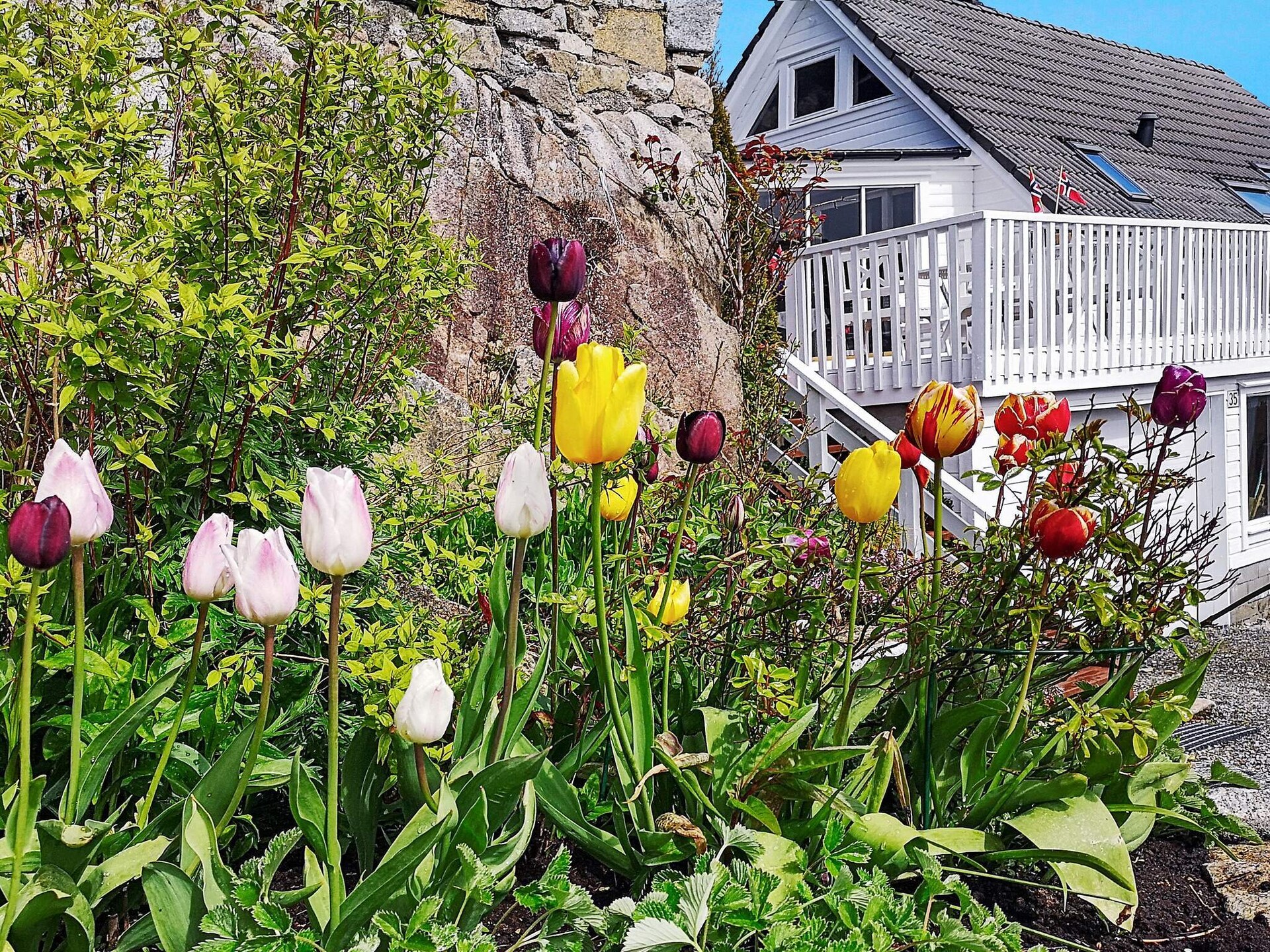 Ruim vakantiehuis in Urangsvåg voor 8 personen - foto 5