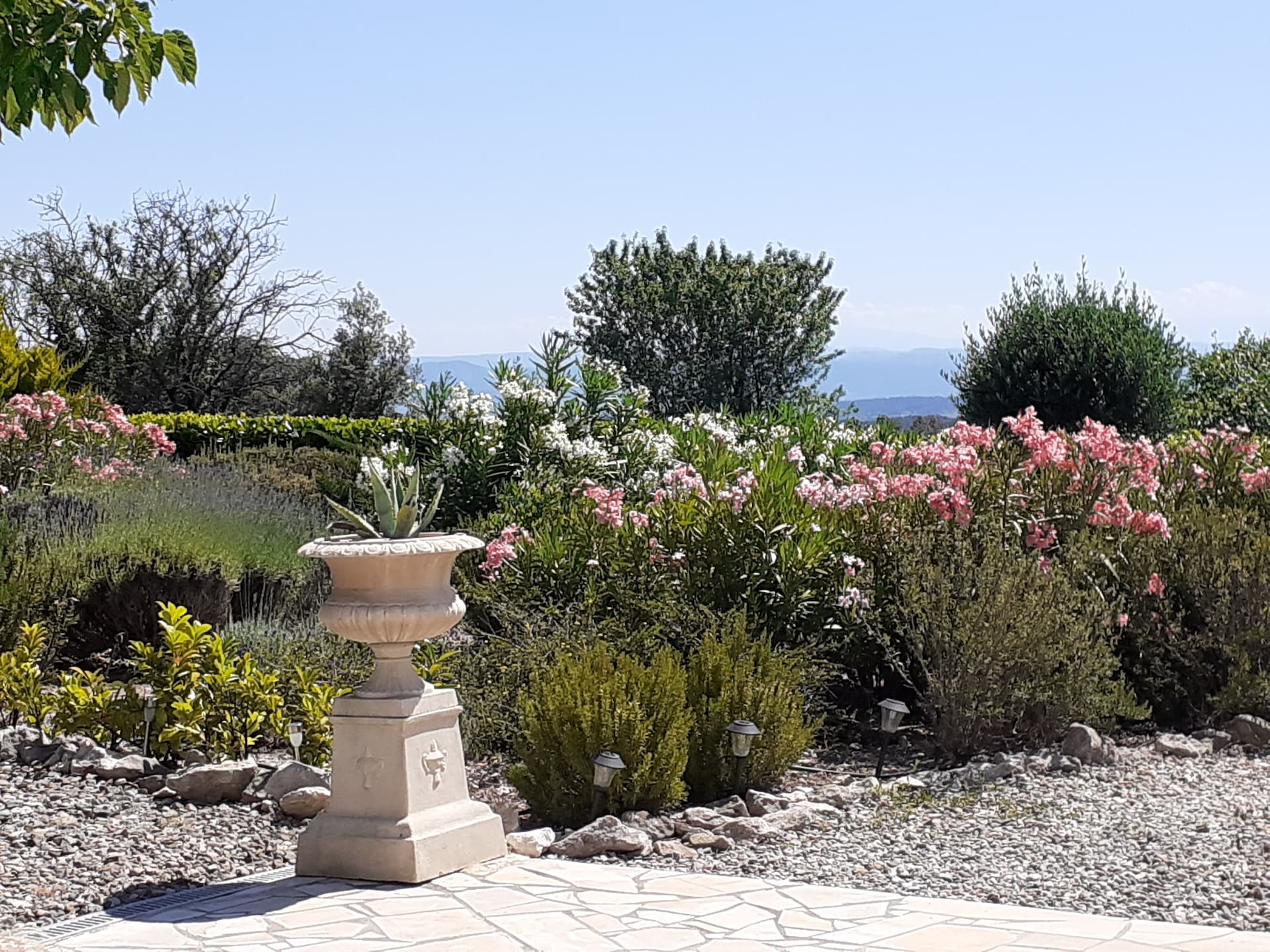Villa met privézwembad en spa in de wijngaarden van de Minervois - foto 27