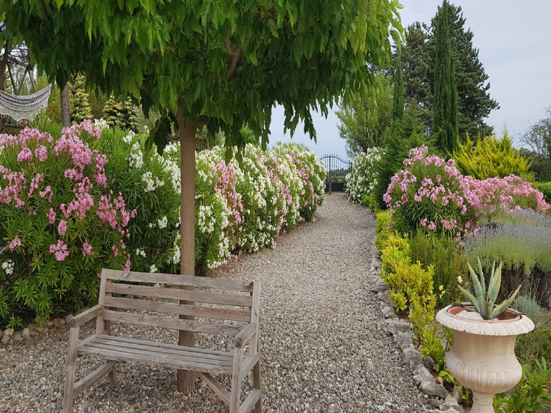 Villa met privézwembad en spa in de wijngaarden van de Minervois - foto 24
