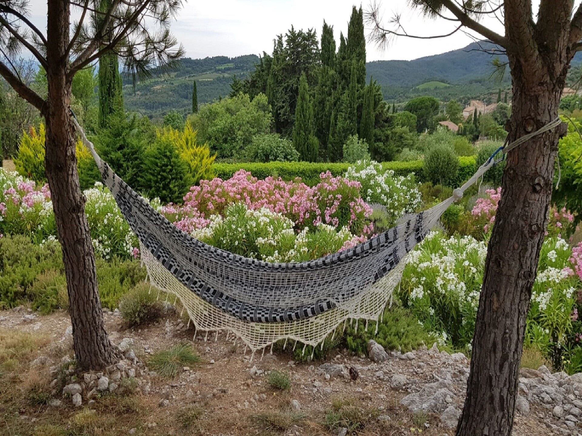 Villa met privézwembad en spa in de wijngaarden van de Minervois - foto 23