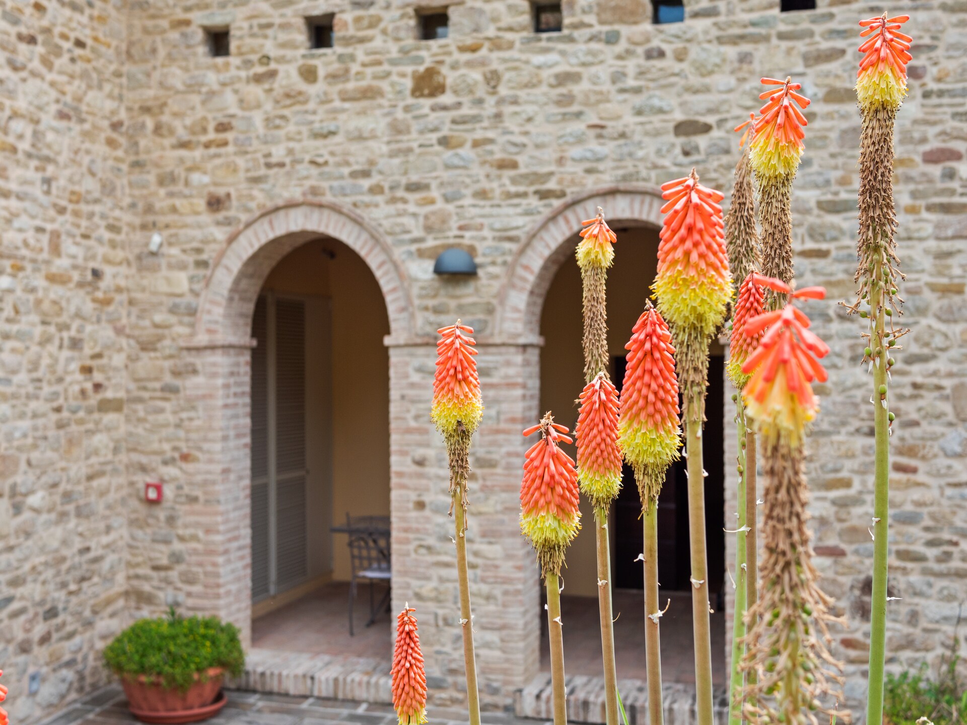 Villa Calfattore: Rustieke groepsaccommodatie met privézwembad in de bossen van Le Marche - foto 35