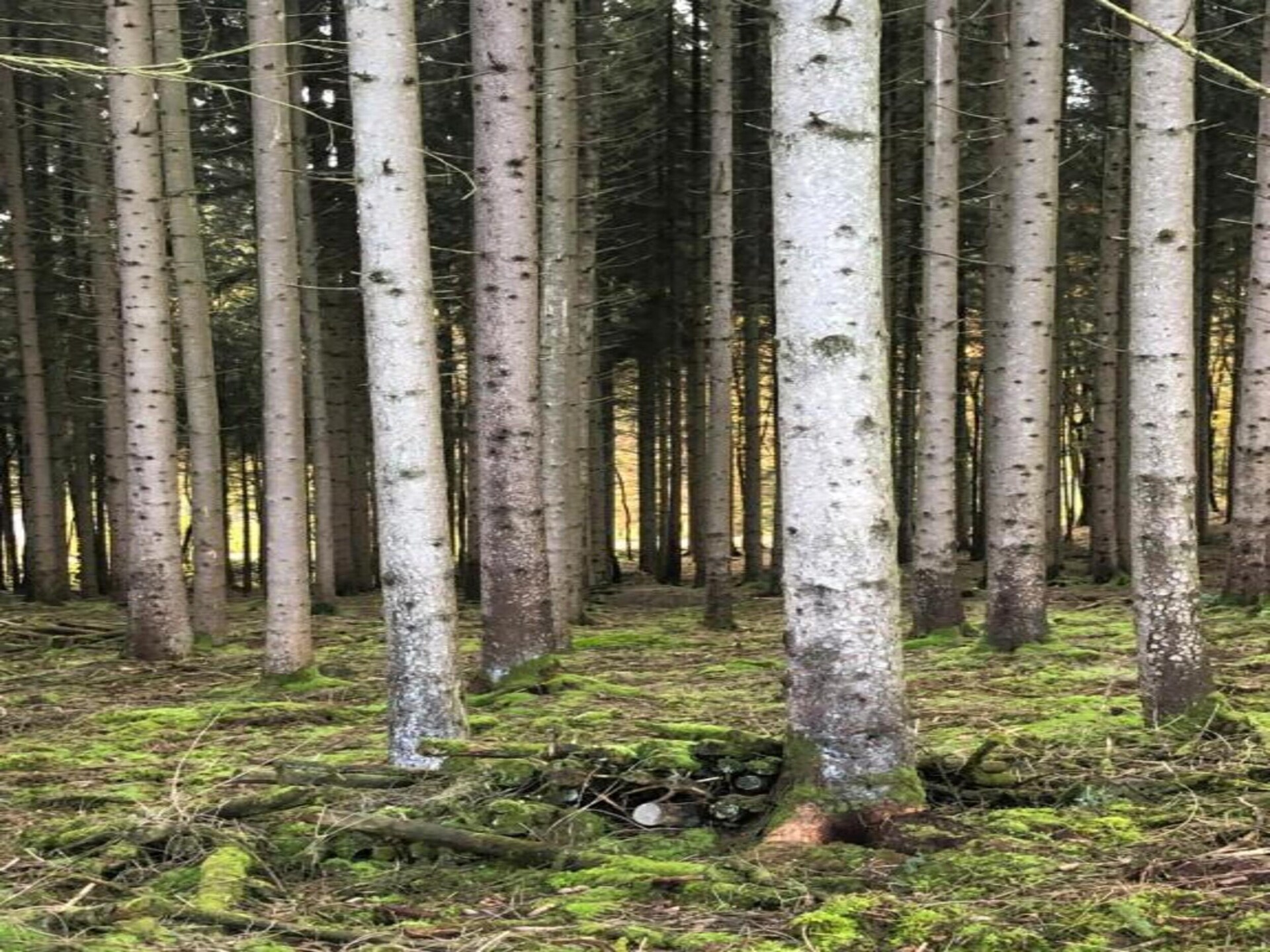 Duurzaam vakantiehuis in Oignies en Thiérache voor 6 personen - foto 38