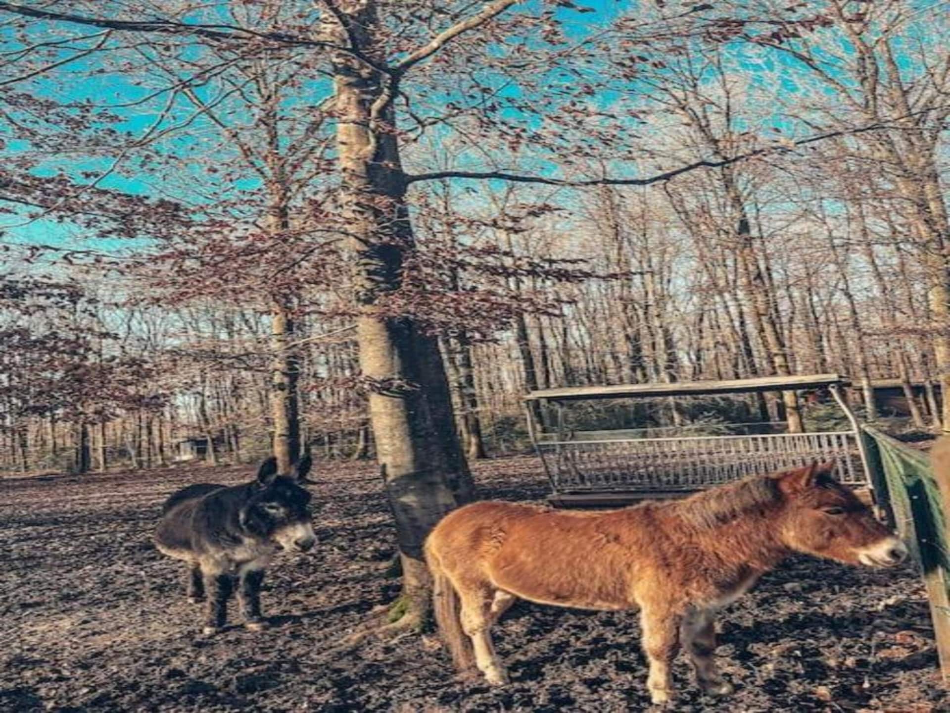 Duurzaam vakantiehuis in Oignies en Thiérache voor 6 personen - foto 32