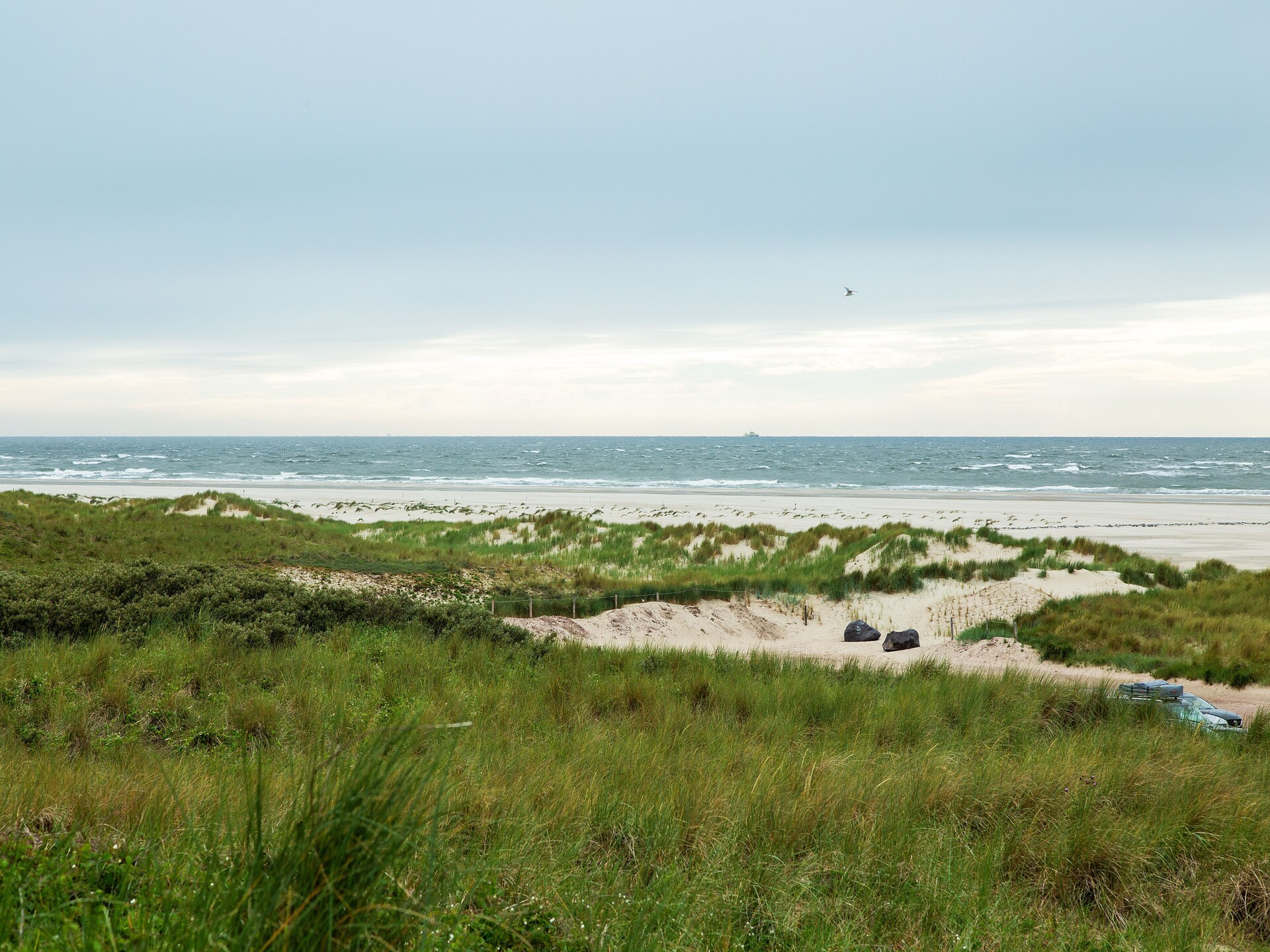 Luxe vrijstaand vakantiehuis aan bos en golfbaan op Texel - foto 24
