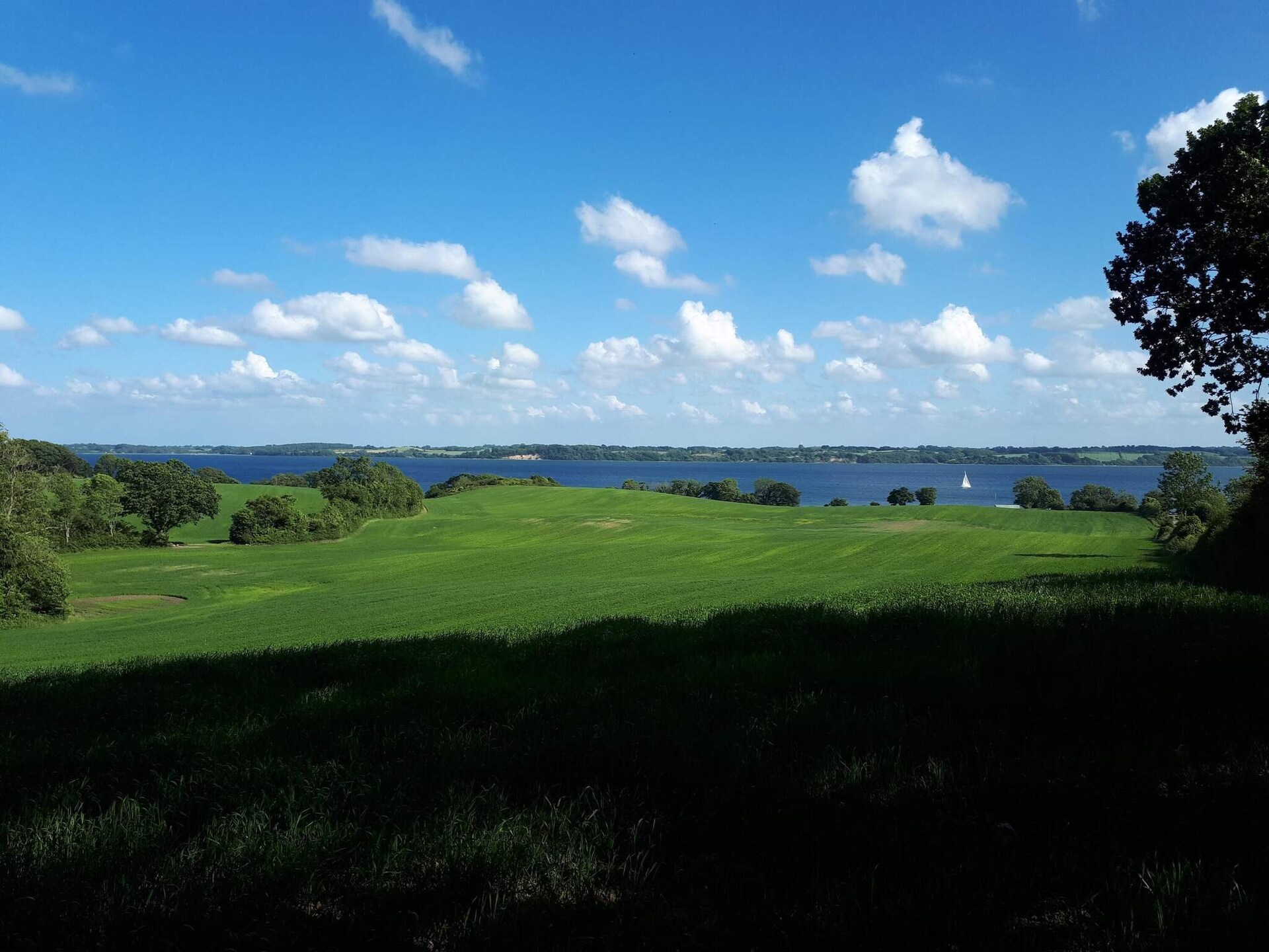 4-persoons vakantiehuis aan zee in Aabenraa · 4 pers. - foto 25