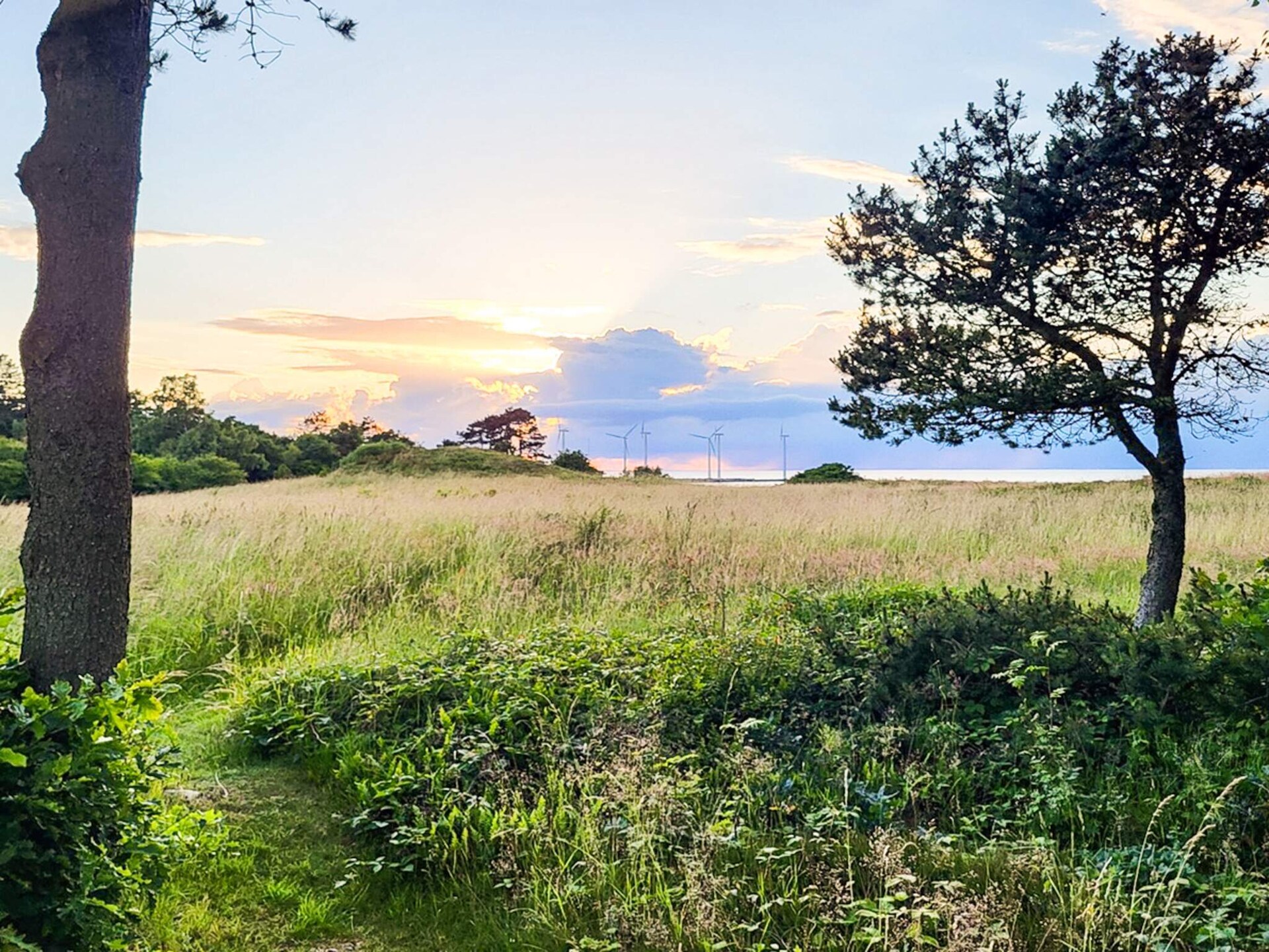 Kindvriendelijk vakantiehuis op 600 meter van het strand in Glesborg - foto 6