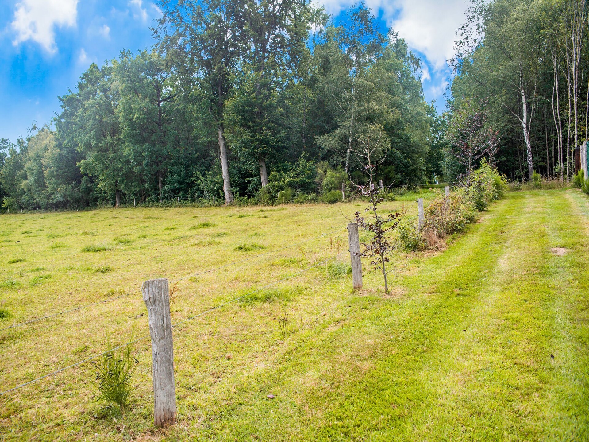 Chalet Rogery 64: vrijstaand in het bos bij Gouvy voor 4 personen - foto 17