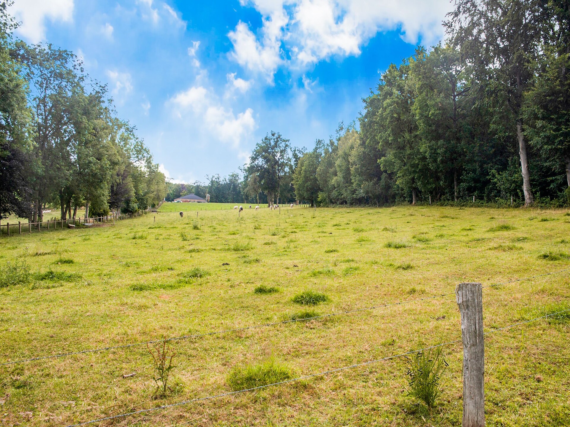 Chalet Rogery 64: vrijstaand in het bos bij Gouvy voor 4 personen - foto 15