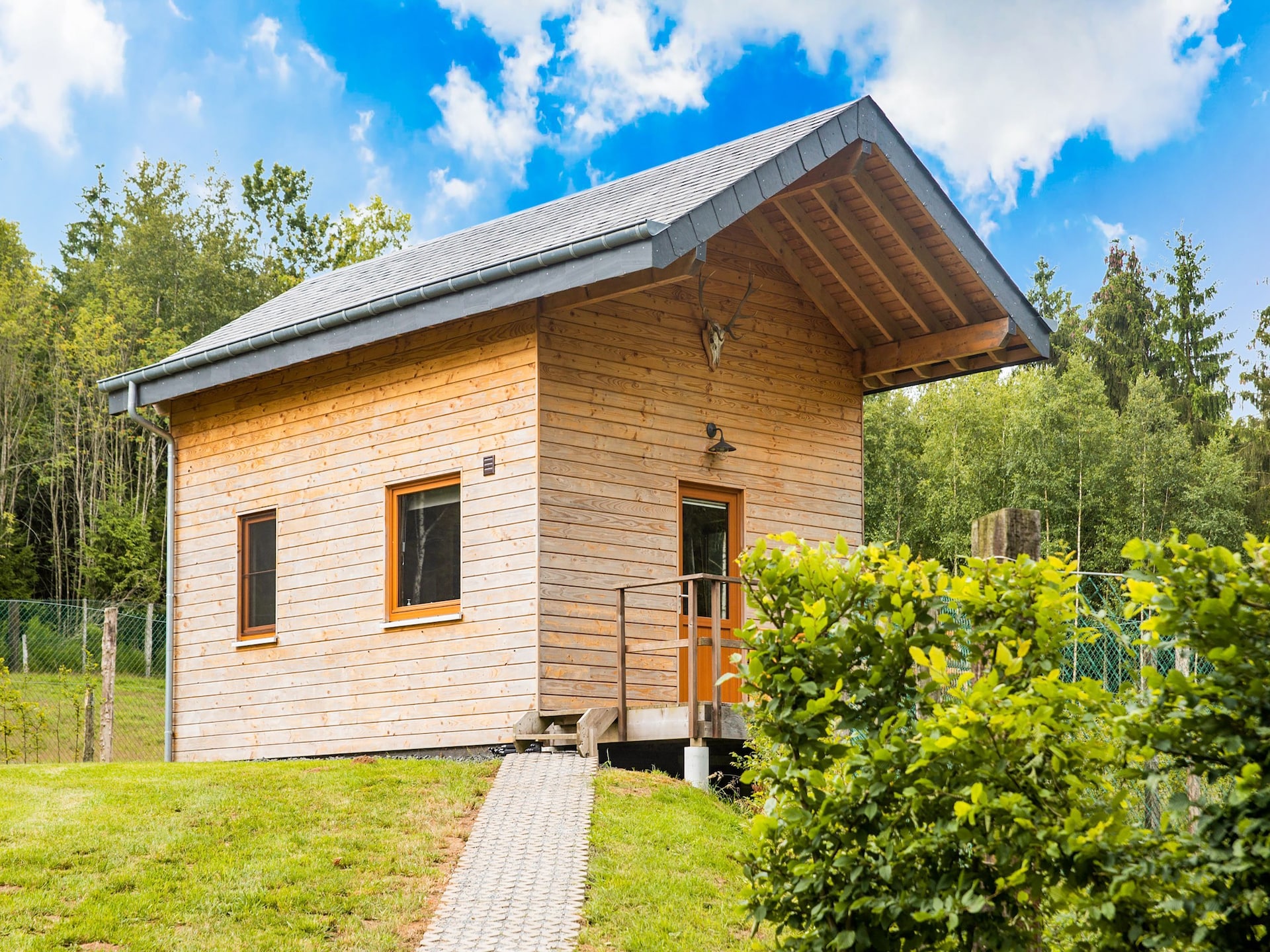 Chalet Rogery 64: vrijstaand in het bos bij Gouvy voor 4 personen - foto 1
