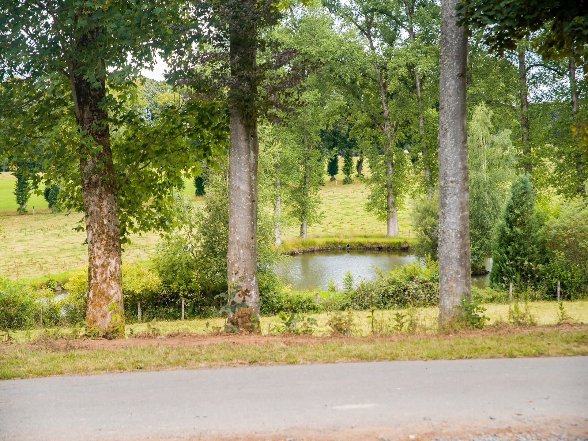 Chalet Rogery 64: vrijstaand in het bos bij Gouvy voor 4 personen - foto 18