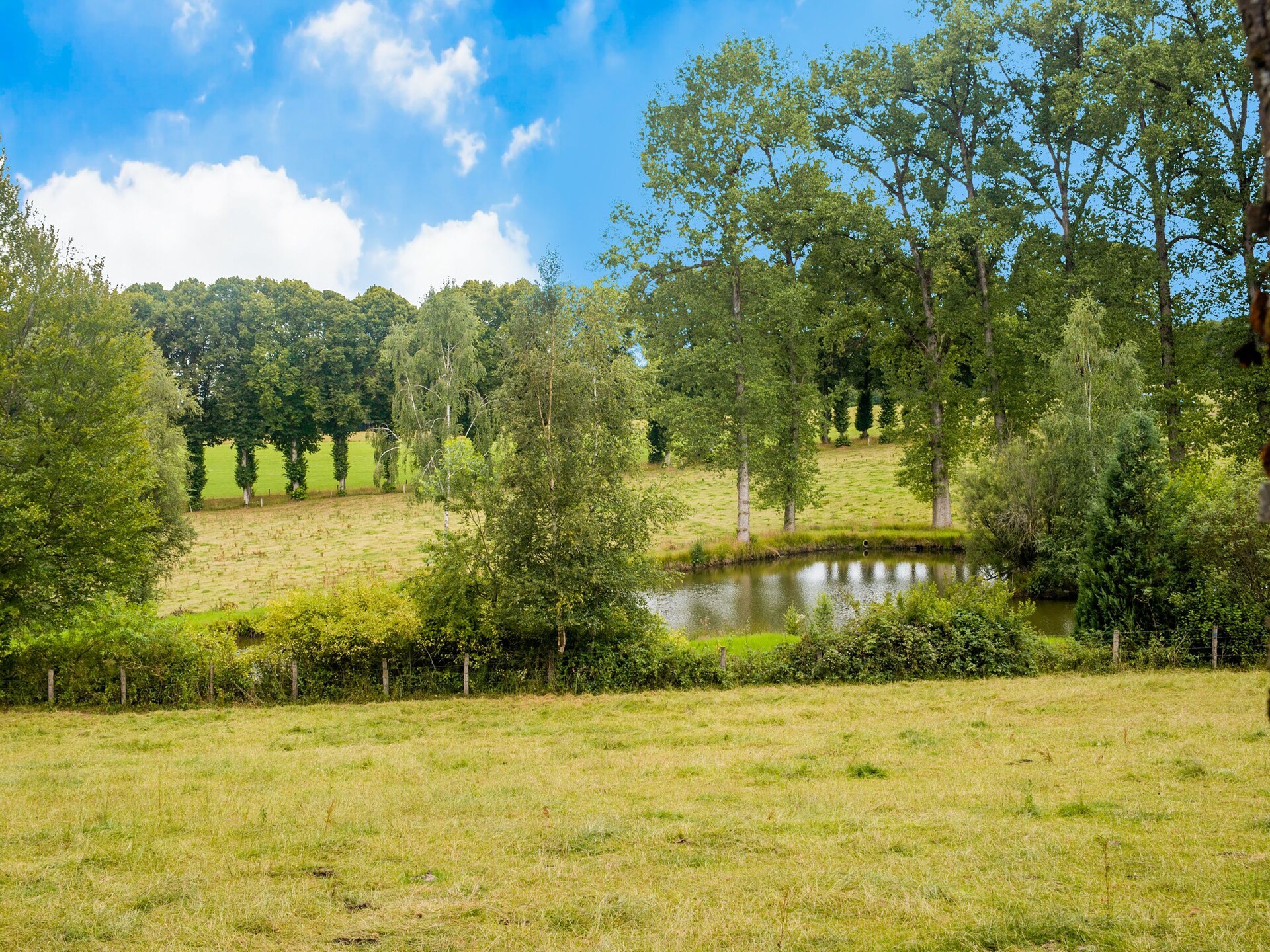 Chalet Rogery 64: vrijstaand in het bos bij Gouvy voor 4 personen - foto 19