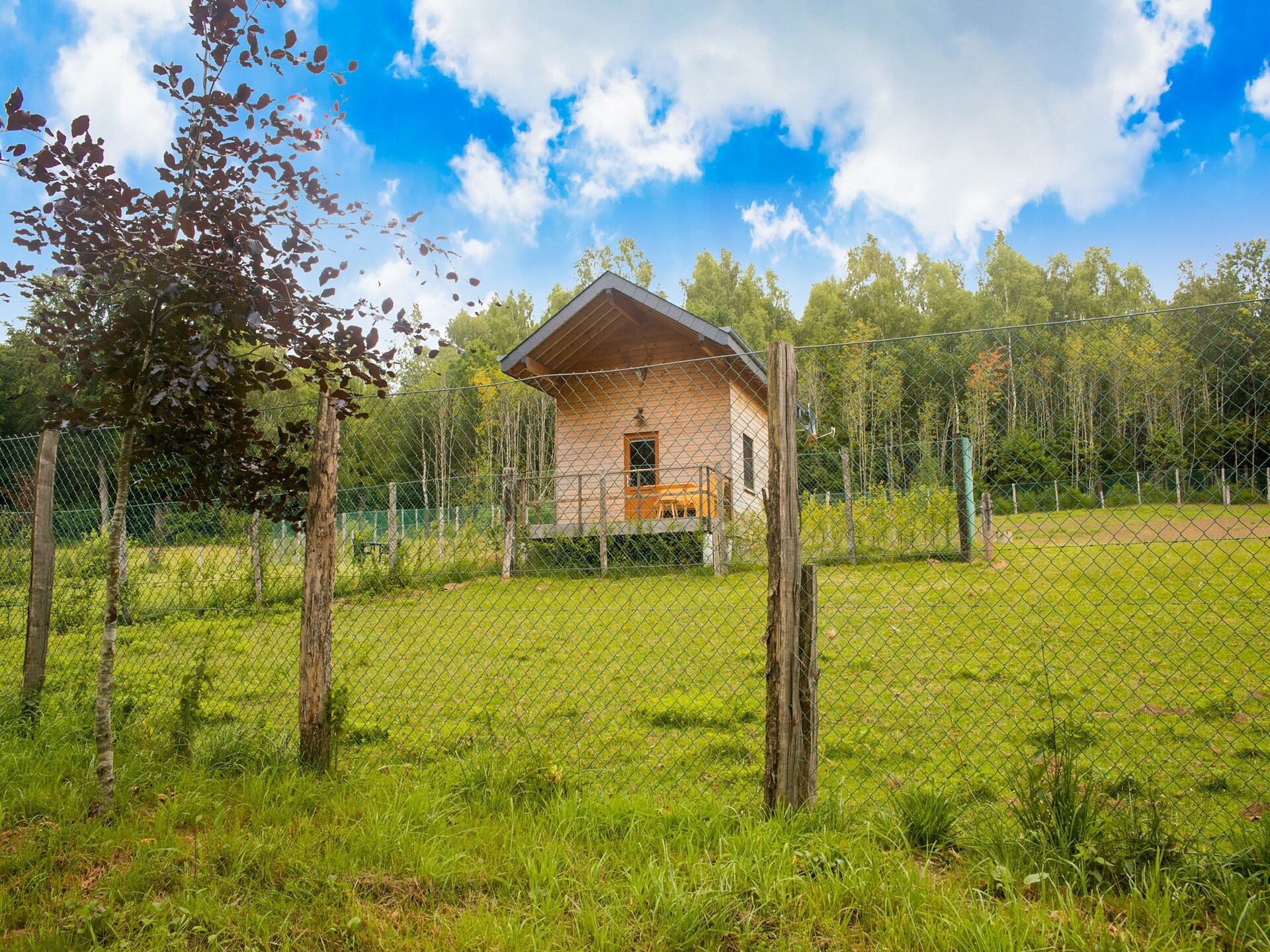 Chalet Rogery 64: vrijstaand in het bos bij Gouvy voor 4 personen - foto 20