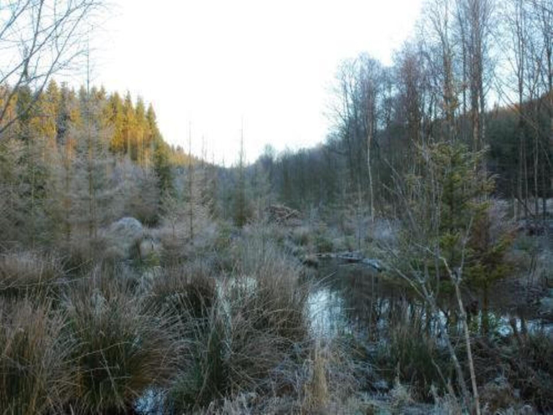 Chalet Rogery 64: vrijstaand in het bos bij Gouvy voor 4 personen - foto 25