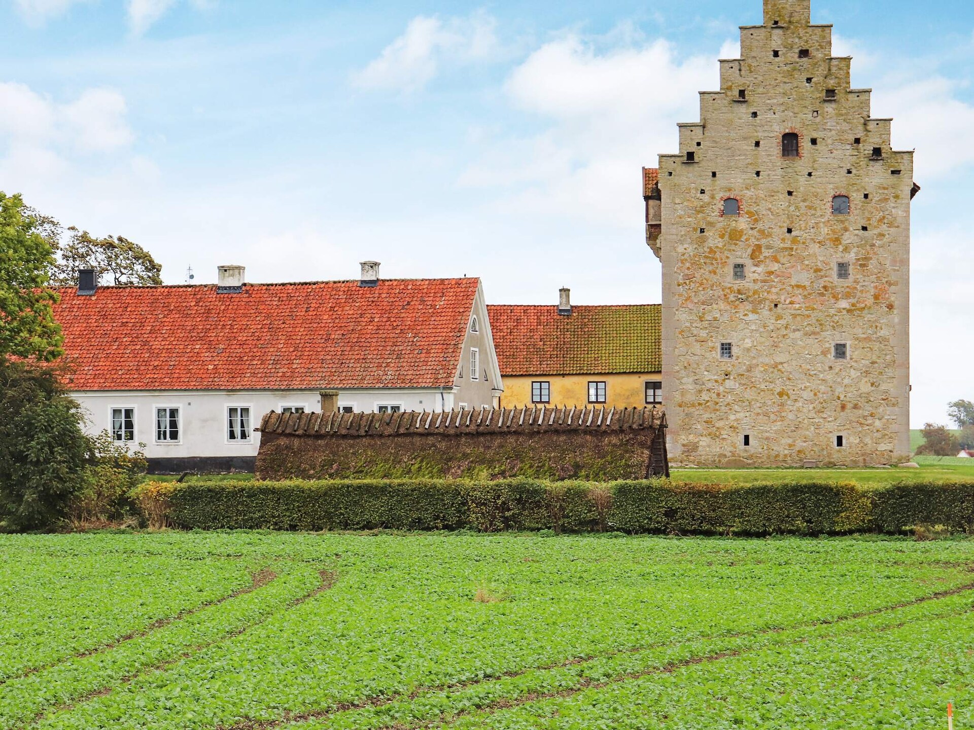 Ruim vakantiehuis met panoramisch uitzicht over Österlen bij golfbaan - foto 4
