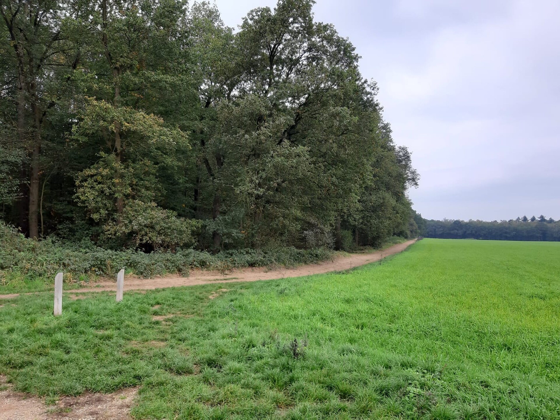 Hettenheuvel: Vrijstaand vakantiehuis in bosrijk Montferland - foto 36