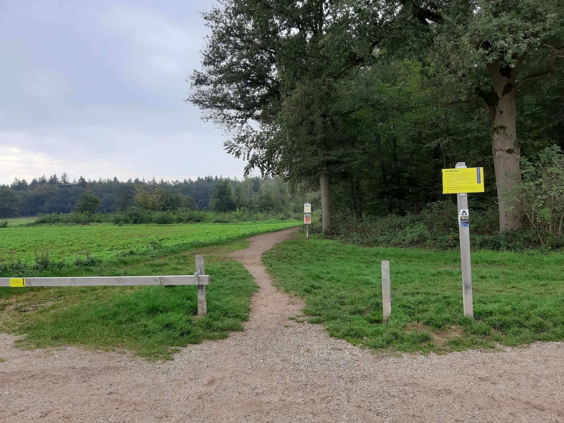 Hettenheuvel: Vrijstaand vakantiehuis in bosrijk Montferland - foto 27
