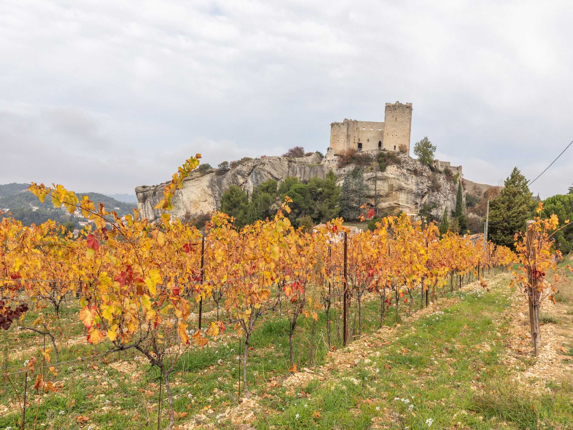 Privézwembad en Provençaalse charme in Vaison-la-Romaine - foto 35