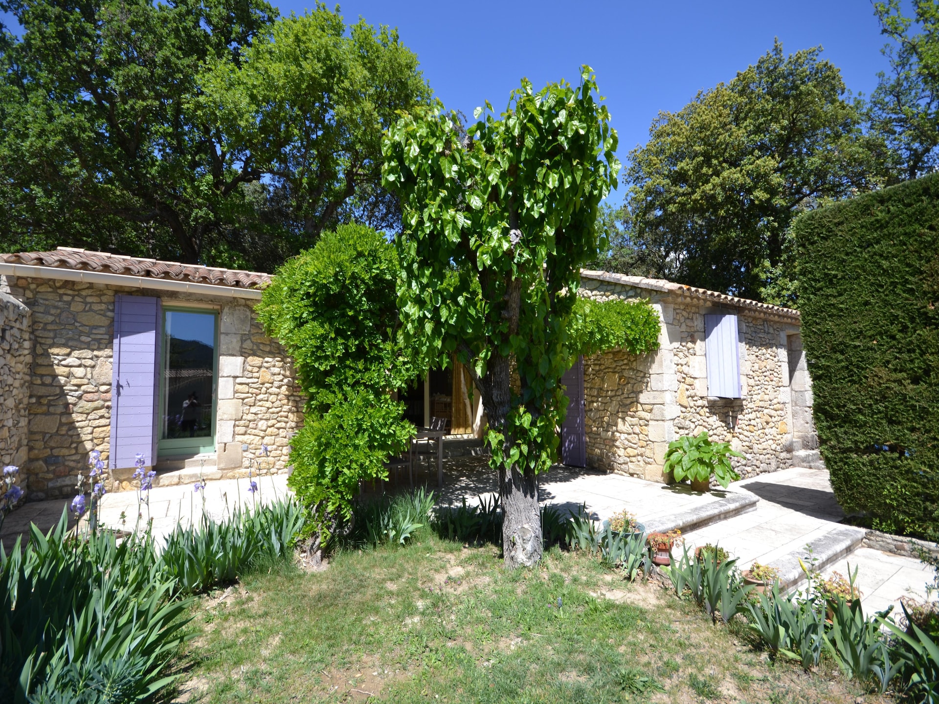 Privézwembad en Provençaalse charme in Vaison-la-Romaine - foto 5