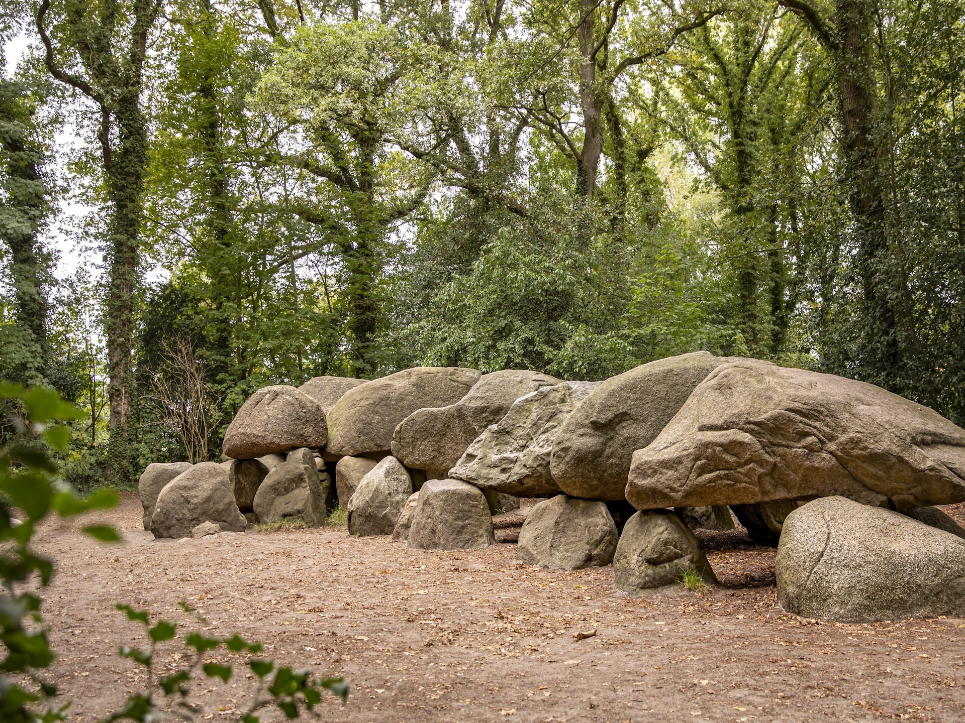 Knus vakantiehuisje in Drenthe: chalet met tuin, huisdieren welkom - foto 33