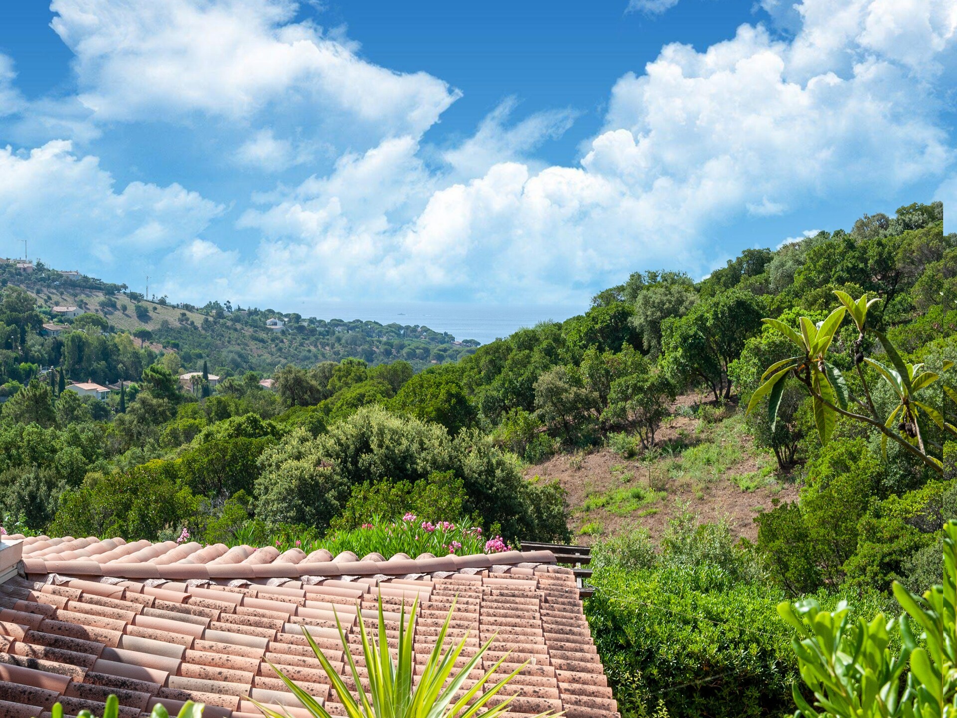 Vakantiehuis Le Mazet Elly & Julian in Roquebrune-sur-Argens - foto 35