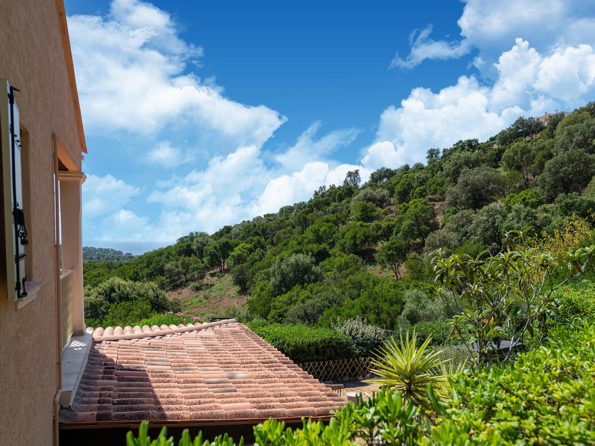 Vakantiehuis Le Mazet Elly & Julian in Roquebrune-sur-Argens - foto 31