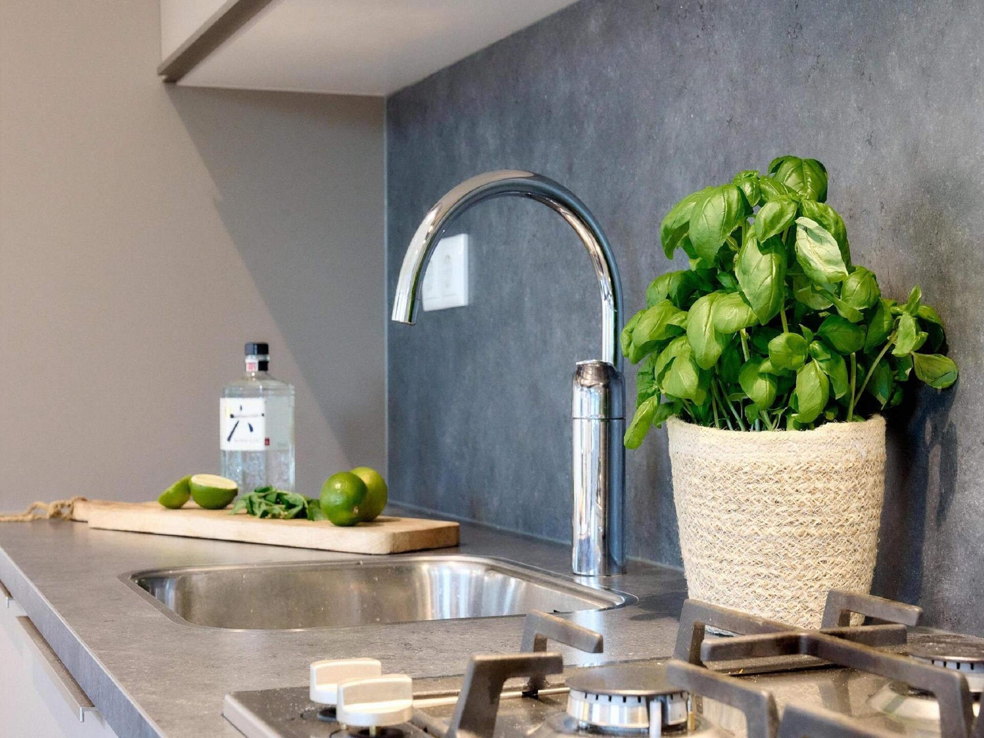 Landgoed De IJsvogel 8: stijlvol vakantiehuis aan het water in Voorthuizen - foto 10