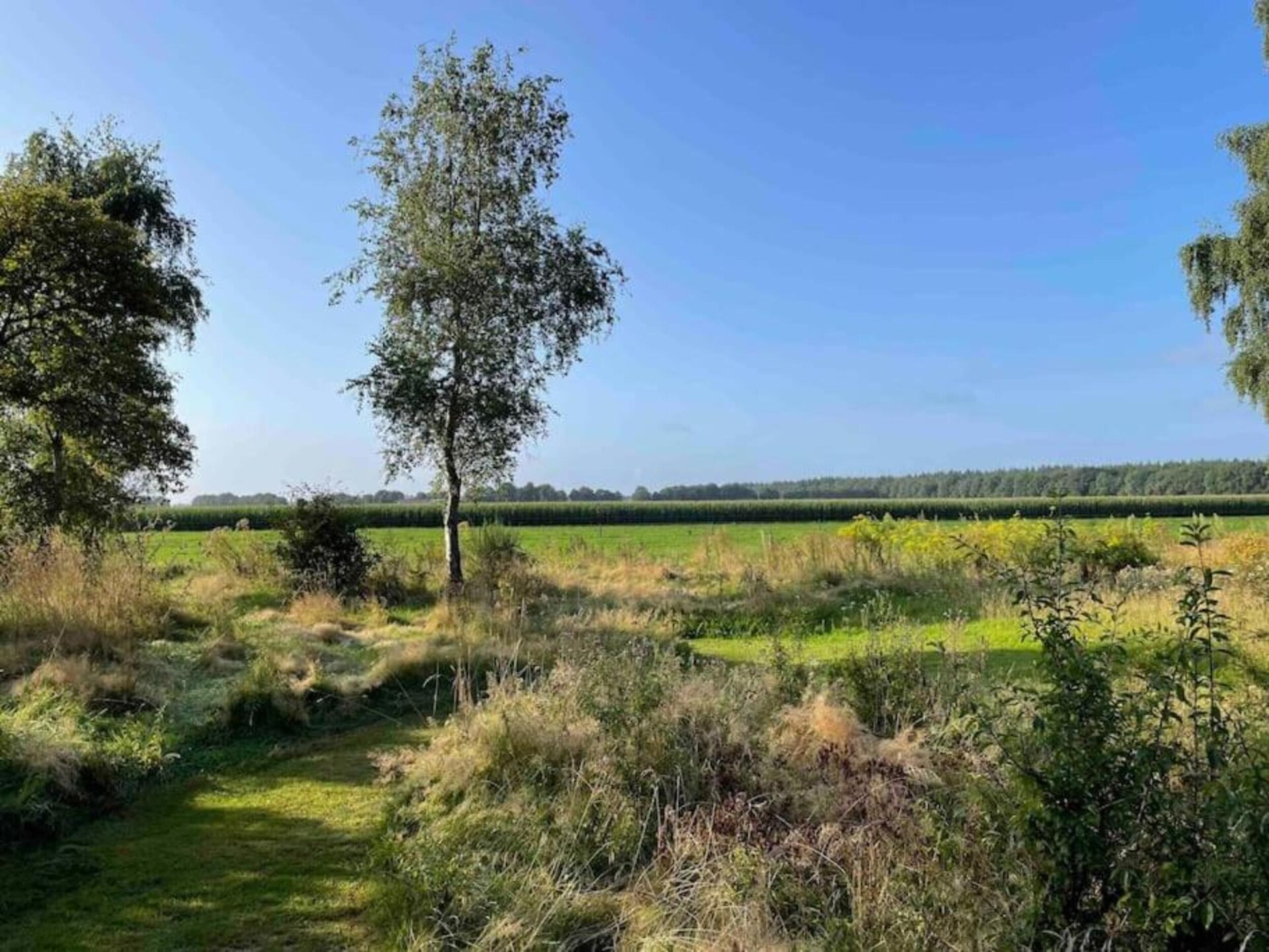 Knus chalet op Vakantiepark Hunzedal • 5 pers • hond welkom - foto 14