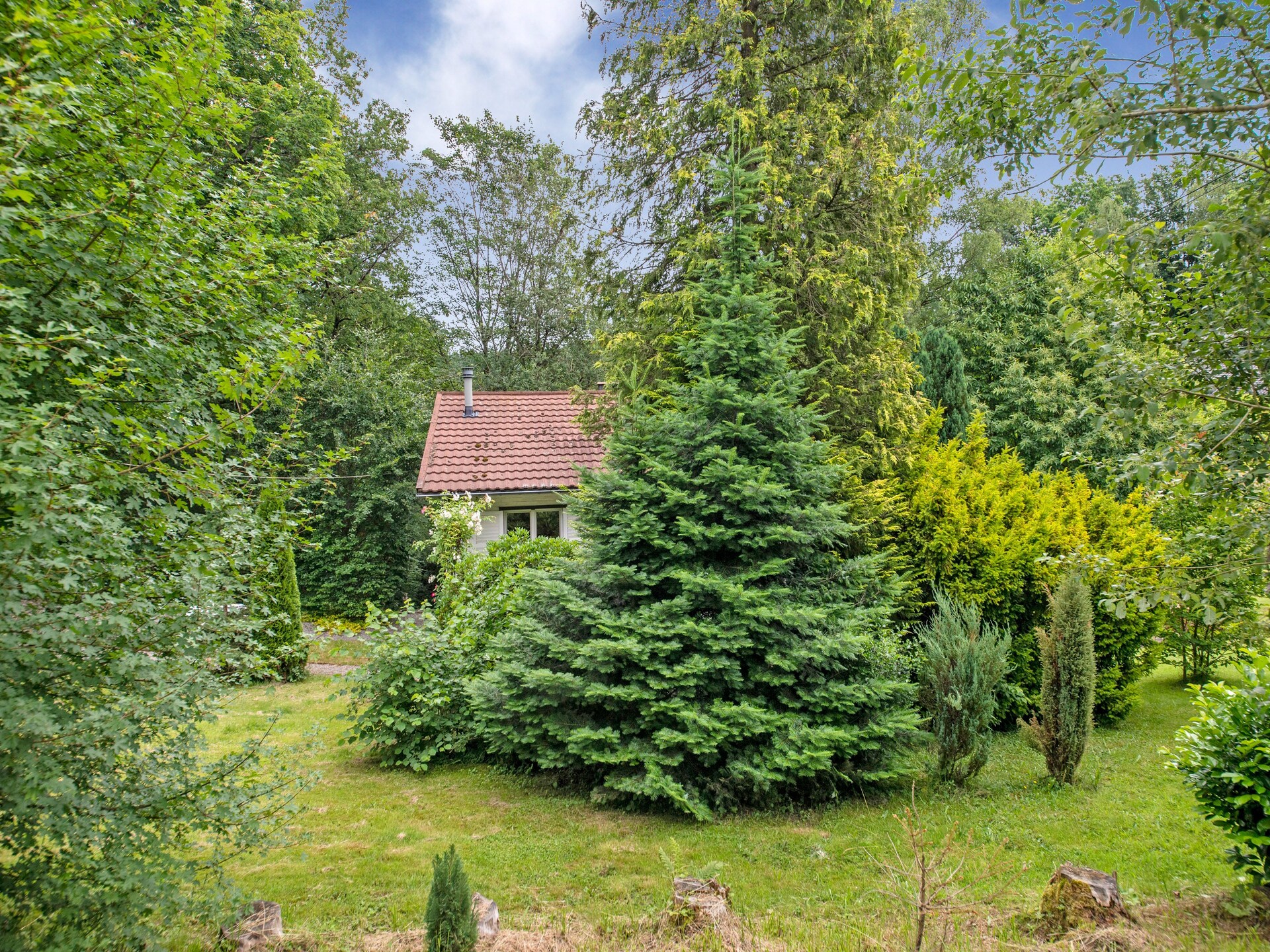 Vrijstaand vakantiehuis in de bossen van Ferrières voor 4 personen - foto 28