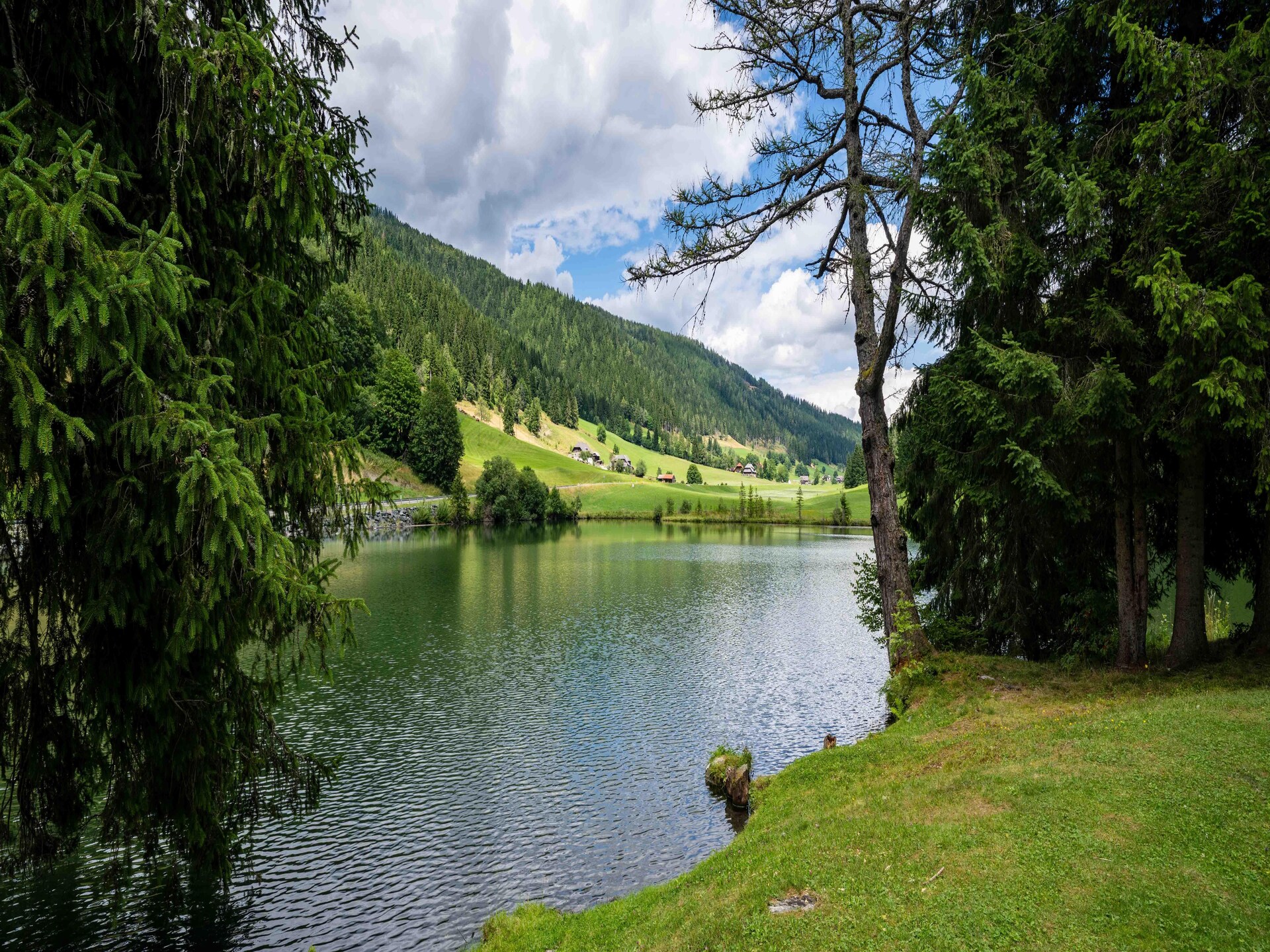 Op 1,0 km van de piste: Gezellig appartement in Sankt Lambrecht - foto 34