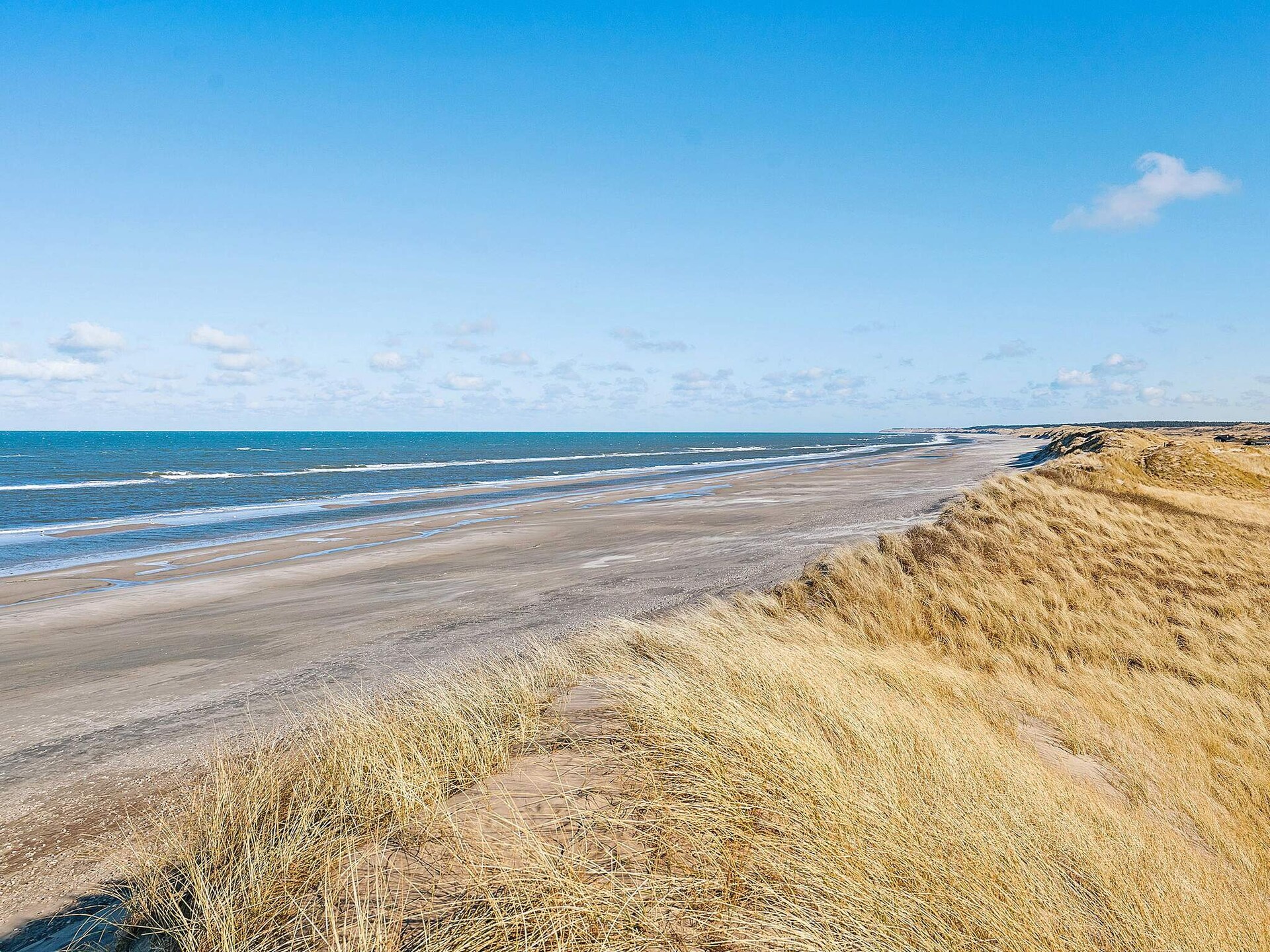 Ruim vakantiehuis met duinenzicht op 50m van Noordzeestrand in Nørlev - foto 32
