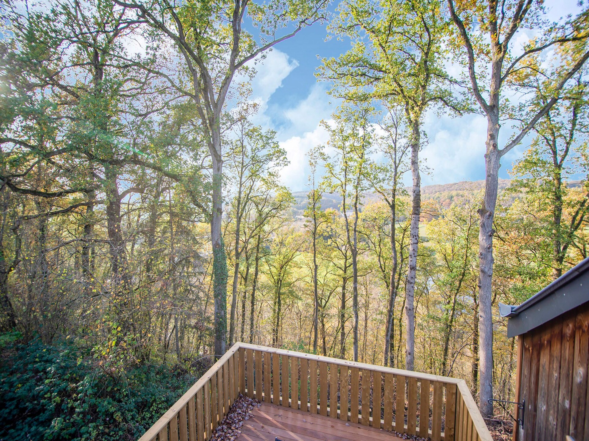 6-persoons vakantiehuis Chant d'Oiseau met wellness in Durbuy - foto 31